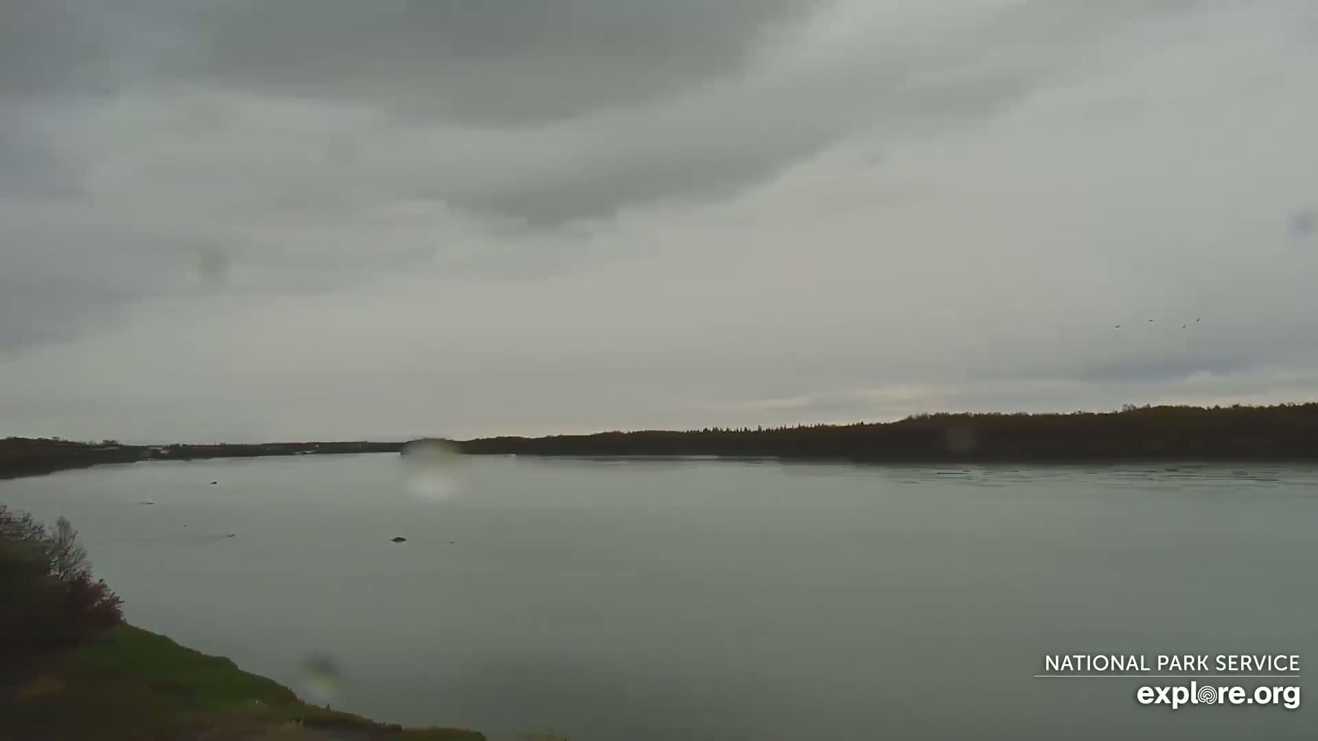 South Naknek, Naknek River Live Cam - Naknek, Bristol Bay Borough, Alaska, USA