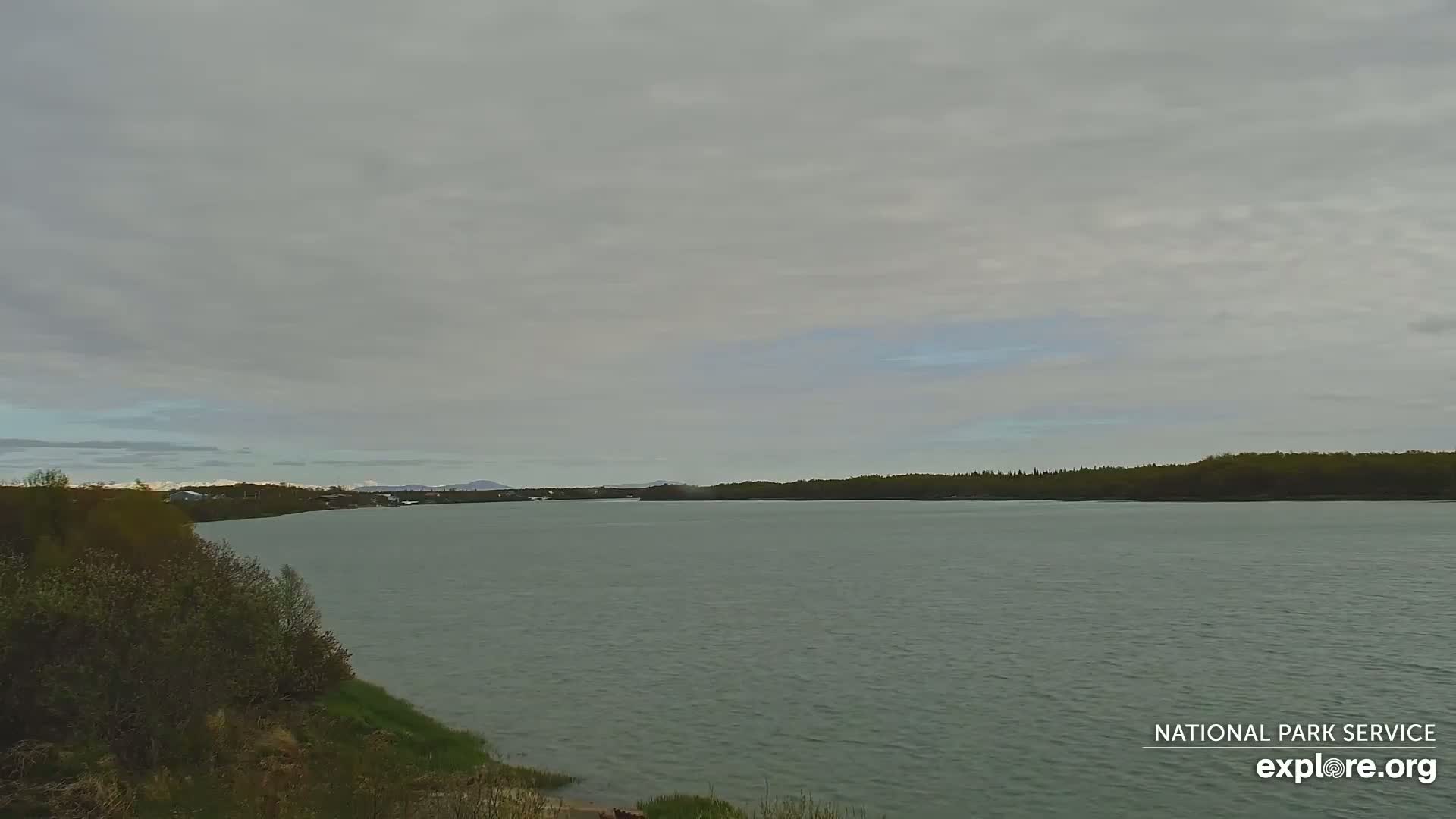 A wide, calm river stretches to a treeline under an overcast sky.