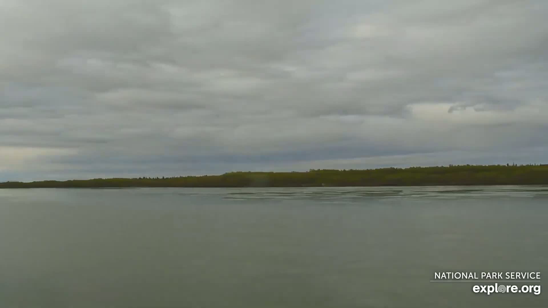 A calm body of water stretches out under an overcast sky, with a treeline visible in the distance.