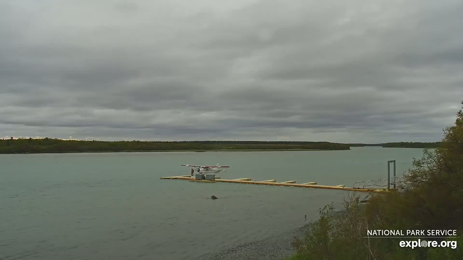 South Naknek, Naknek River Live Cam - Naknek, Bristol Bay Borough, Alaska, USA