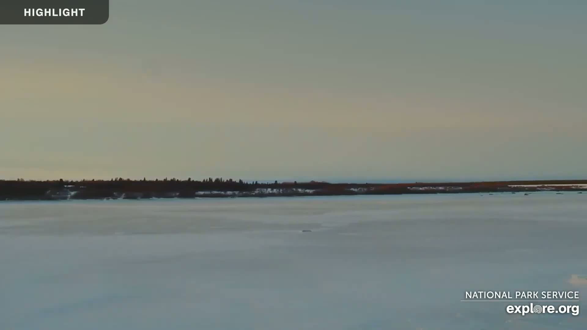 A frozen lake stretches out to a distant treeline under a pale sky.