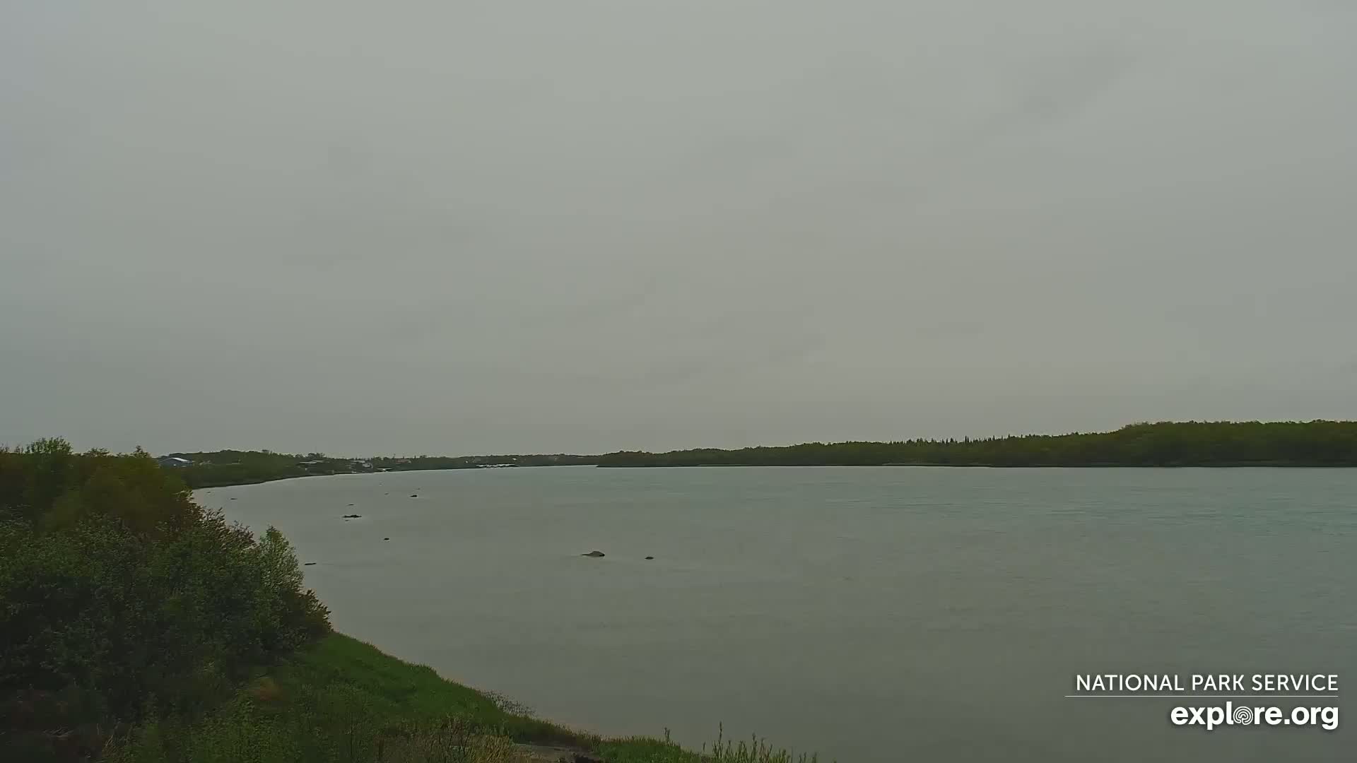 A wide, calm river flows under an overcast sky, bordered by green vegetation and a distant treeline.