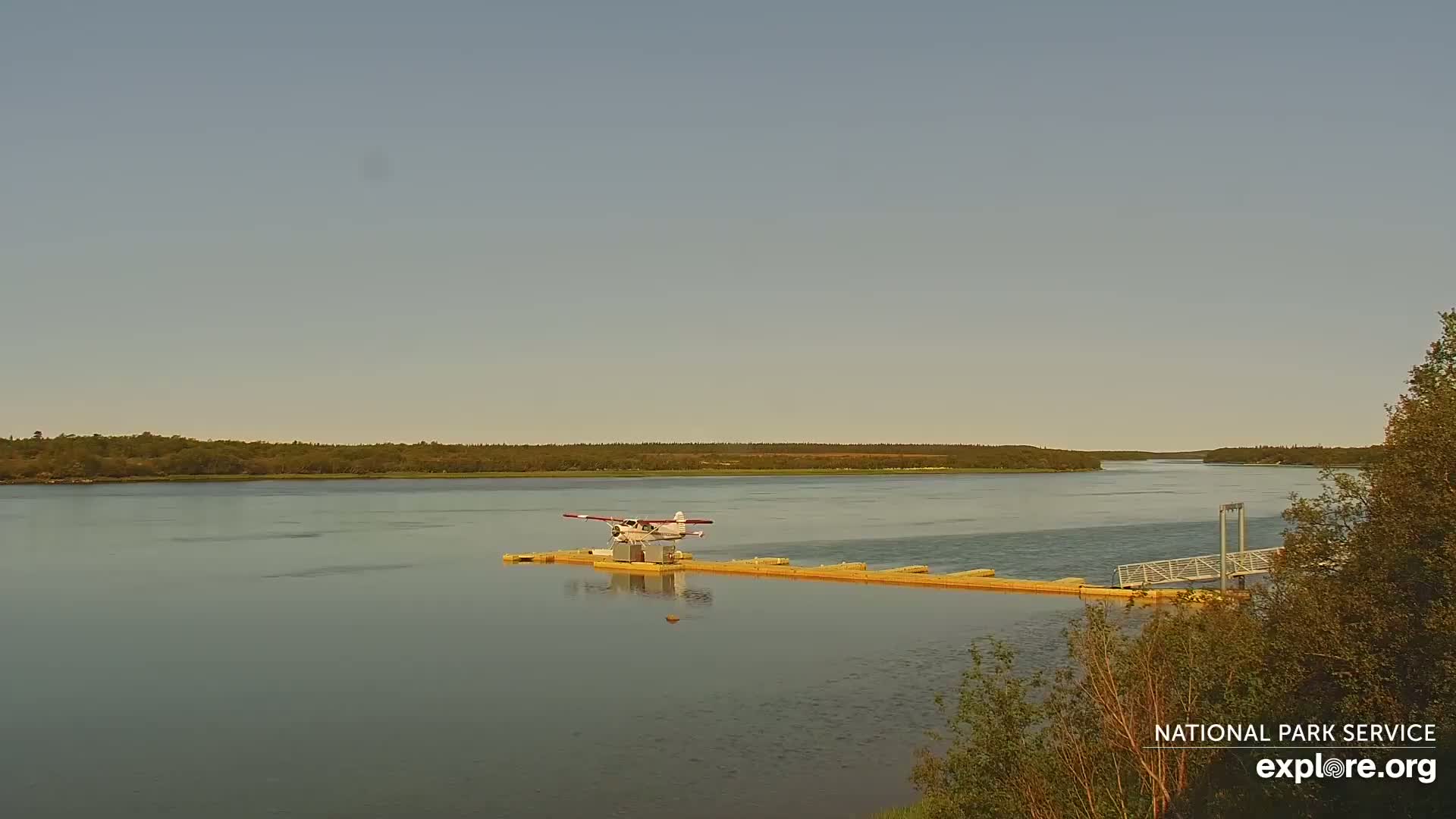 A seaplane sits on a dock in a calm river, under a clear sky, with low-lying vegetation visible on both banks.
