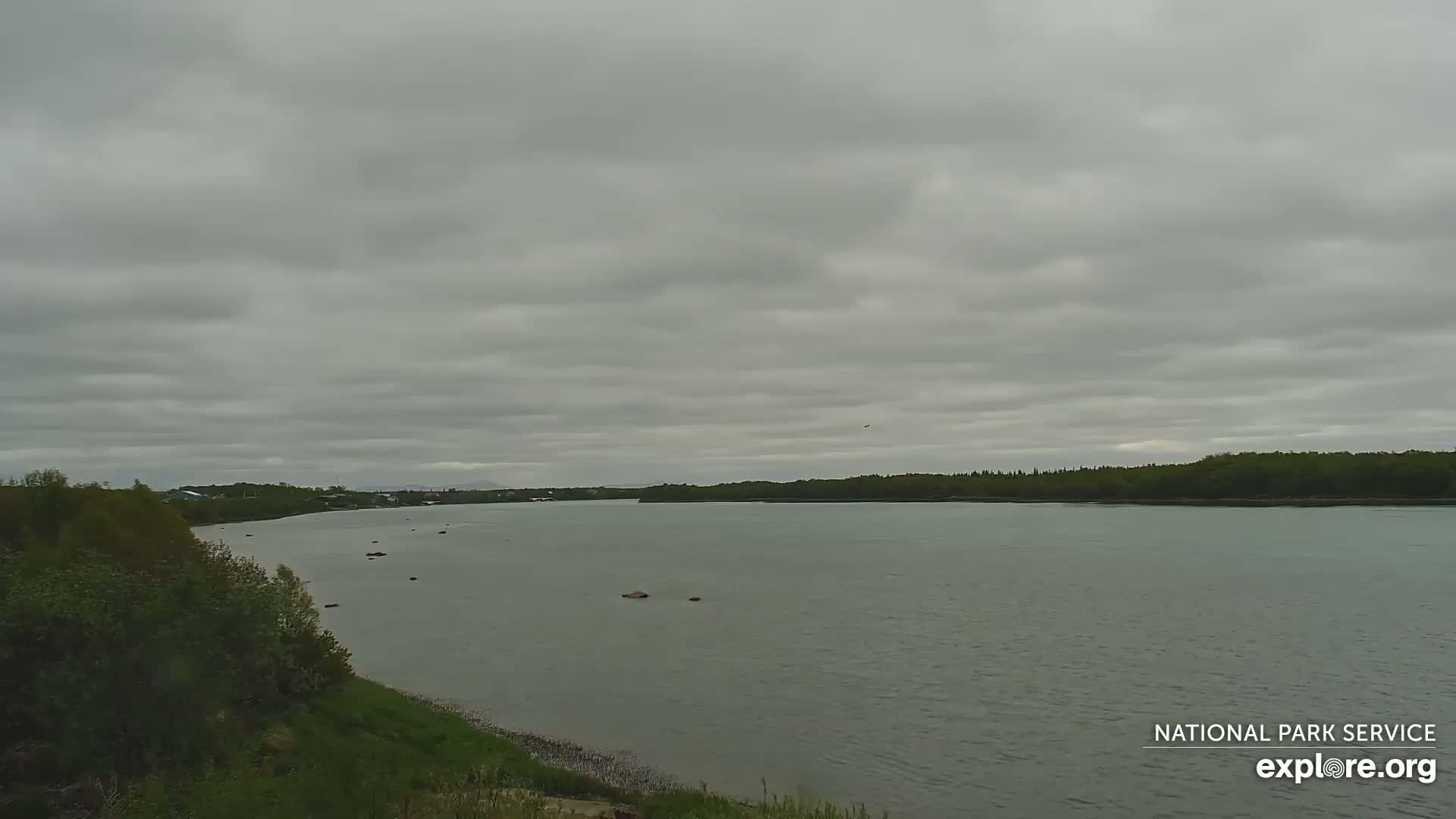 South Naknek, Naknek River Live Cam - Naknek, Bristol Bay Borough, Alaska, USA