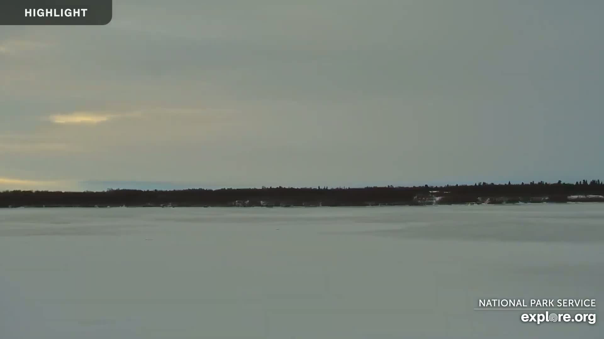 A frozen lake stretches to a dark treeline under a pale, overcast sky.