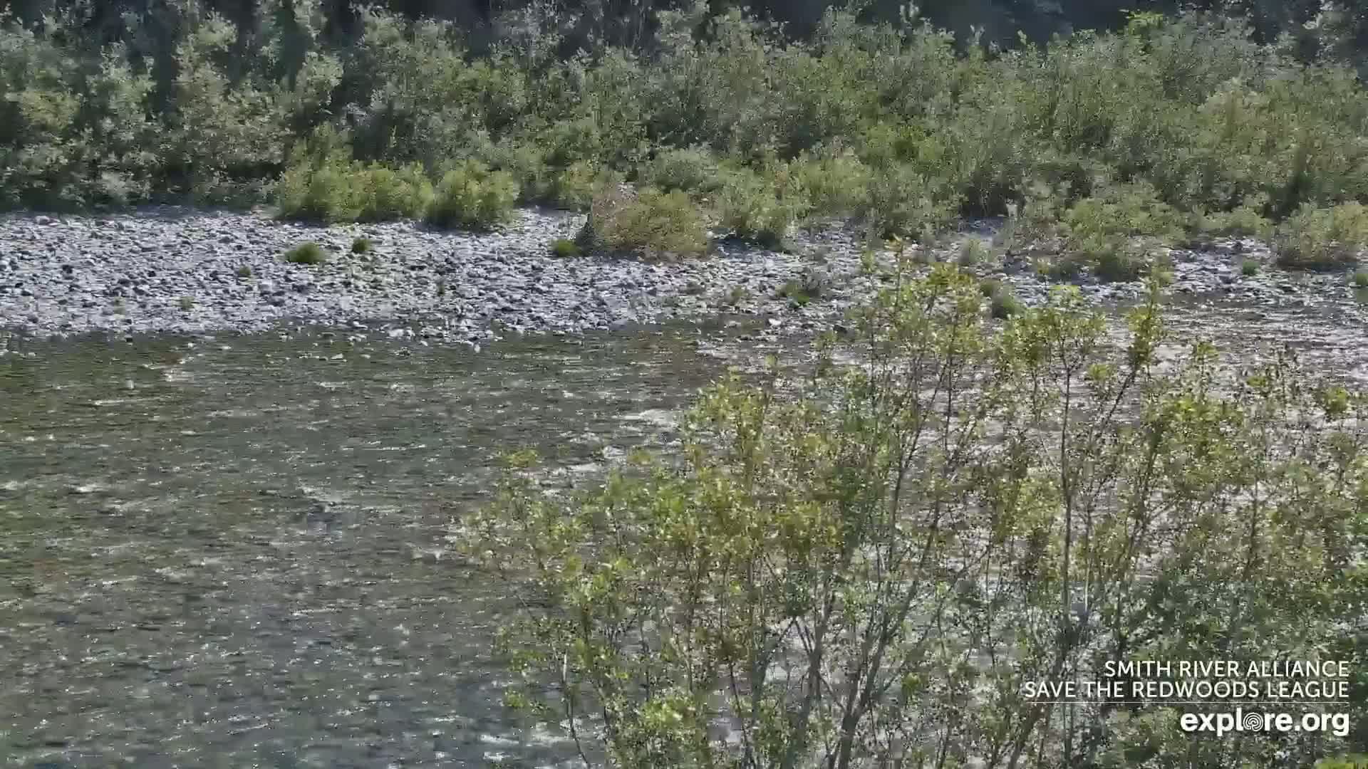 South Naknek, Naknek River Live Cam - Naknek, Bristol Bay Borough, Alaska, USA