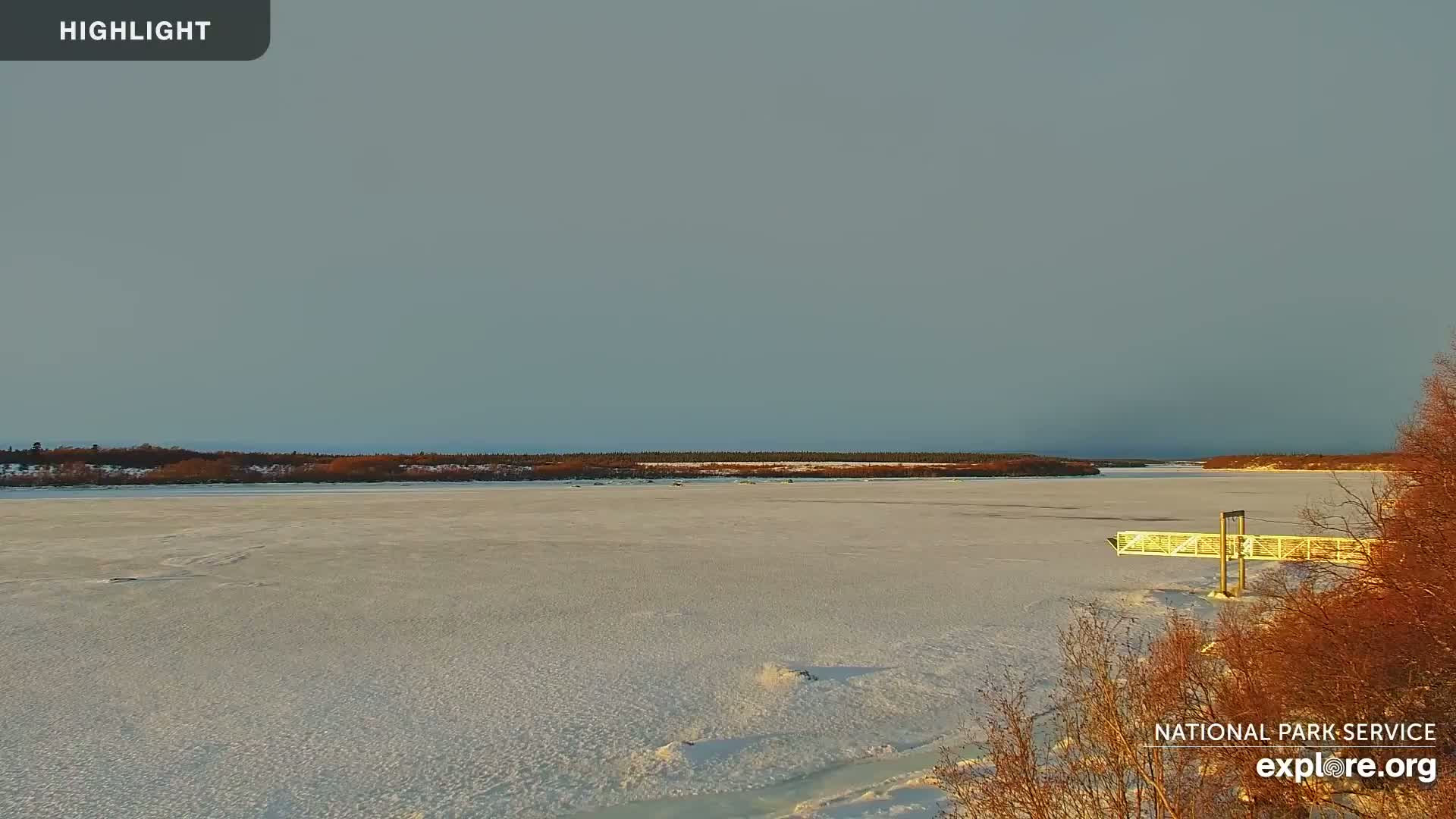 South Naknek, Naknek River Live Cam - Naknek, Bristol Bay Borough, Alaska, USA