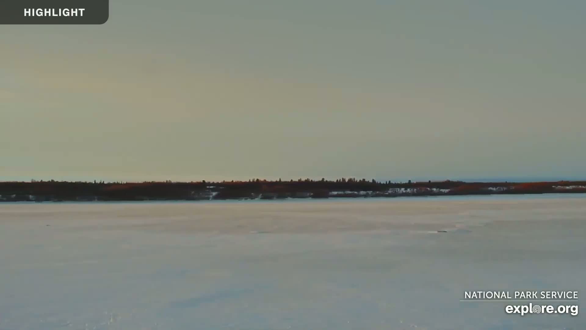 A frozen, expansive body of water stretches out to a dark tree line under a muted, light-grey sky.