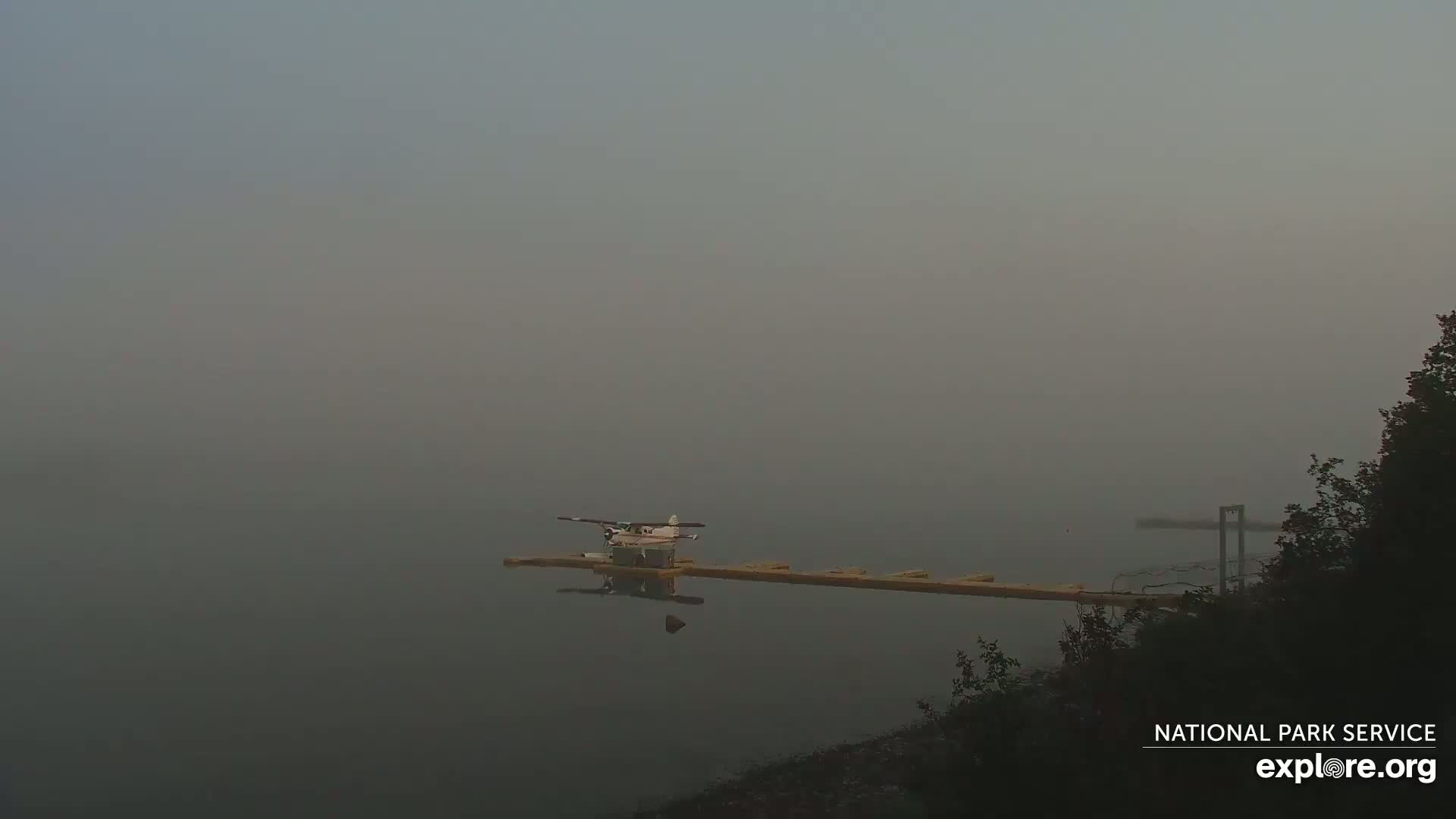 A seaplane sits on a dock on a foggy lake, with some shoreline vegetation visible in the foreground.