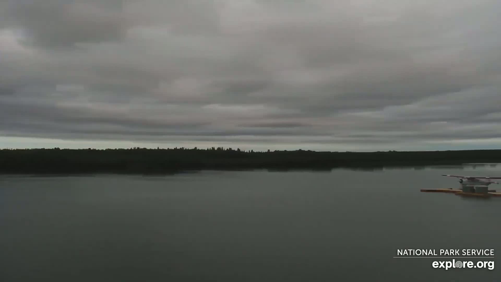 A seaplane sits on a calm lake under an overcast sky, with a dark treeline visible in the distance.