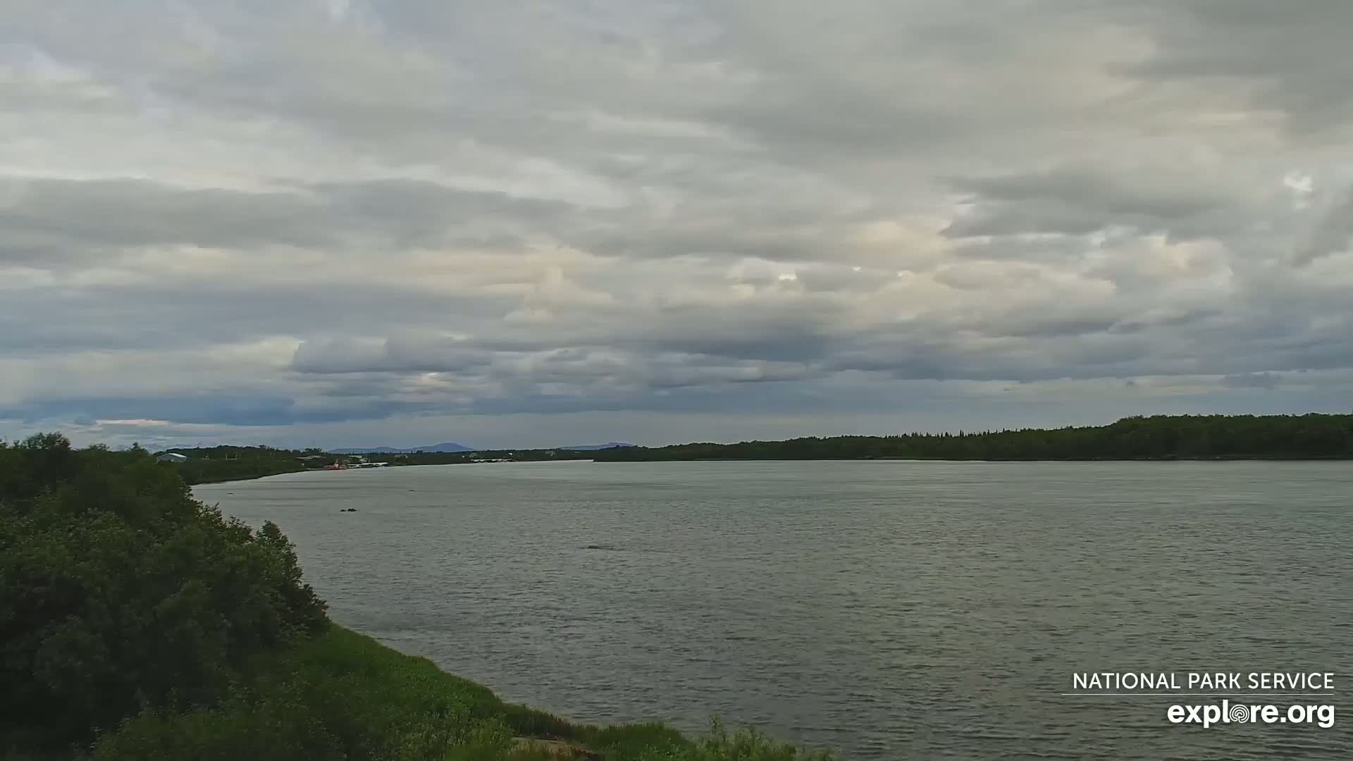 South Naknek, Naknek River Live Cam - Naknek, Bristol Bay Borough, Alaska, USA