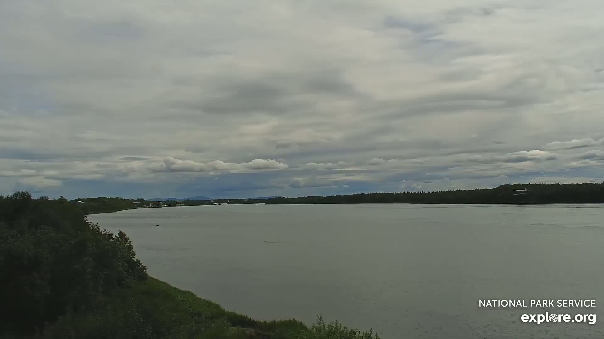 South Naknek, Naknek River Live Cam - Naknek, Bristol Bay Borough, Alaska, USA
