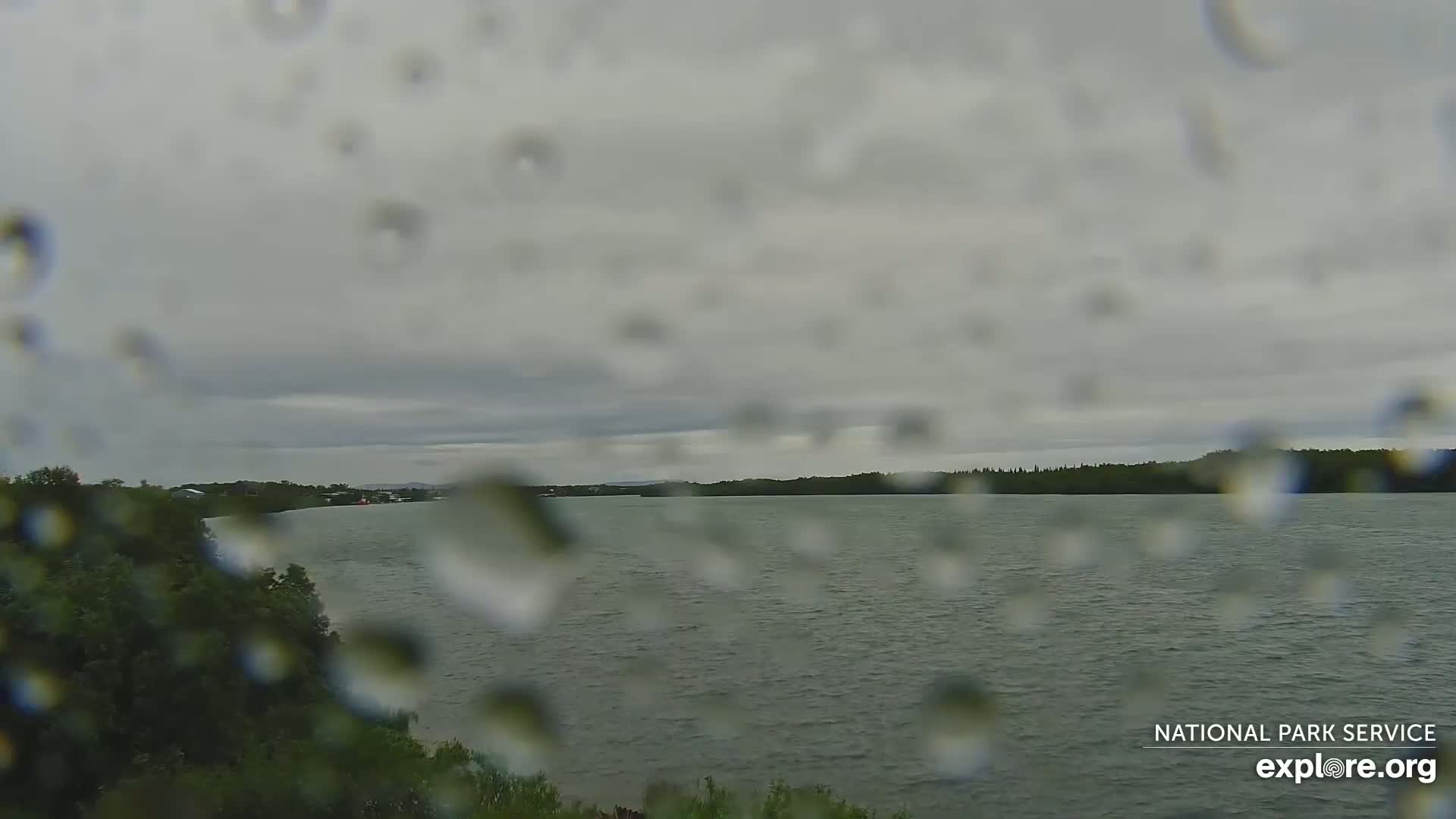 South Naknek, Naknek River Live Cam - Naknek, Bristol Bay Borough, Alaska, USA