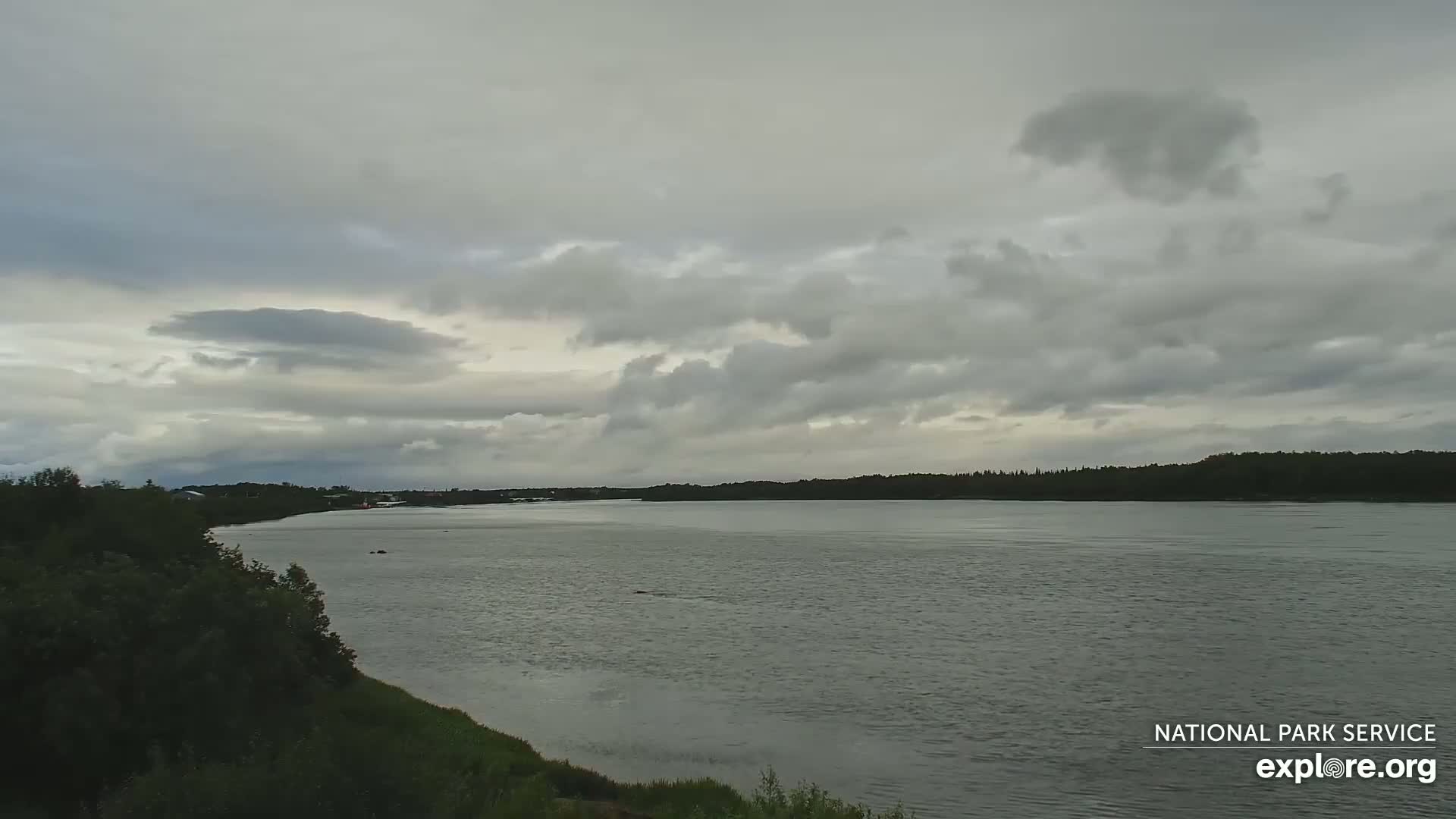 South Naknek, Naknek River Live Cam - Naknek, Bristol Bay Borough, Alaska, USA