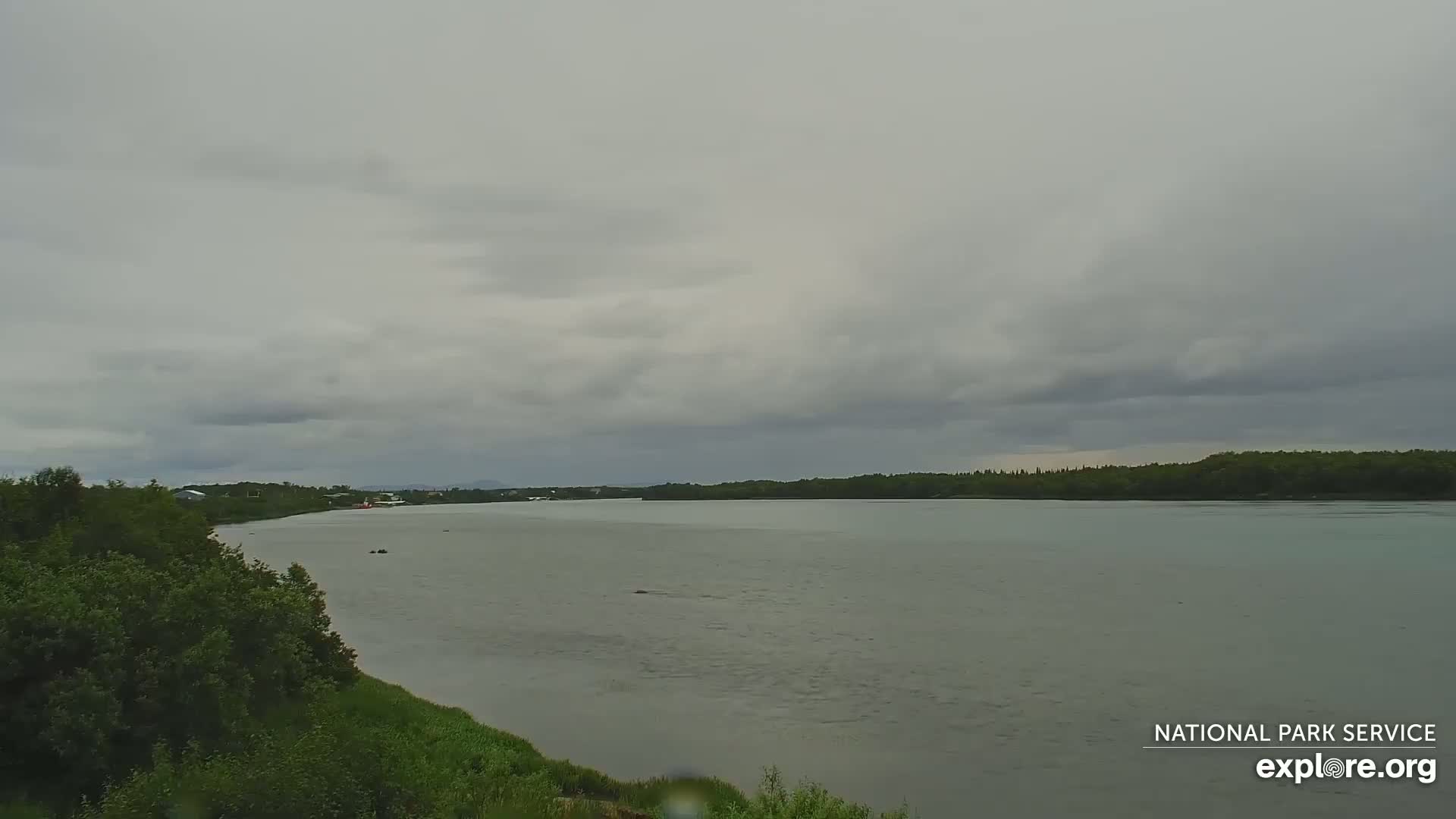 South Naknek, Naknek River Live Cam - Naknek, Bristol Bay Borough, Alaska, USA