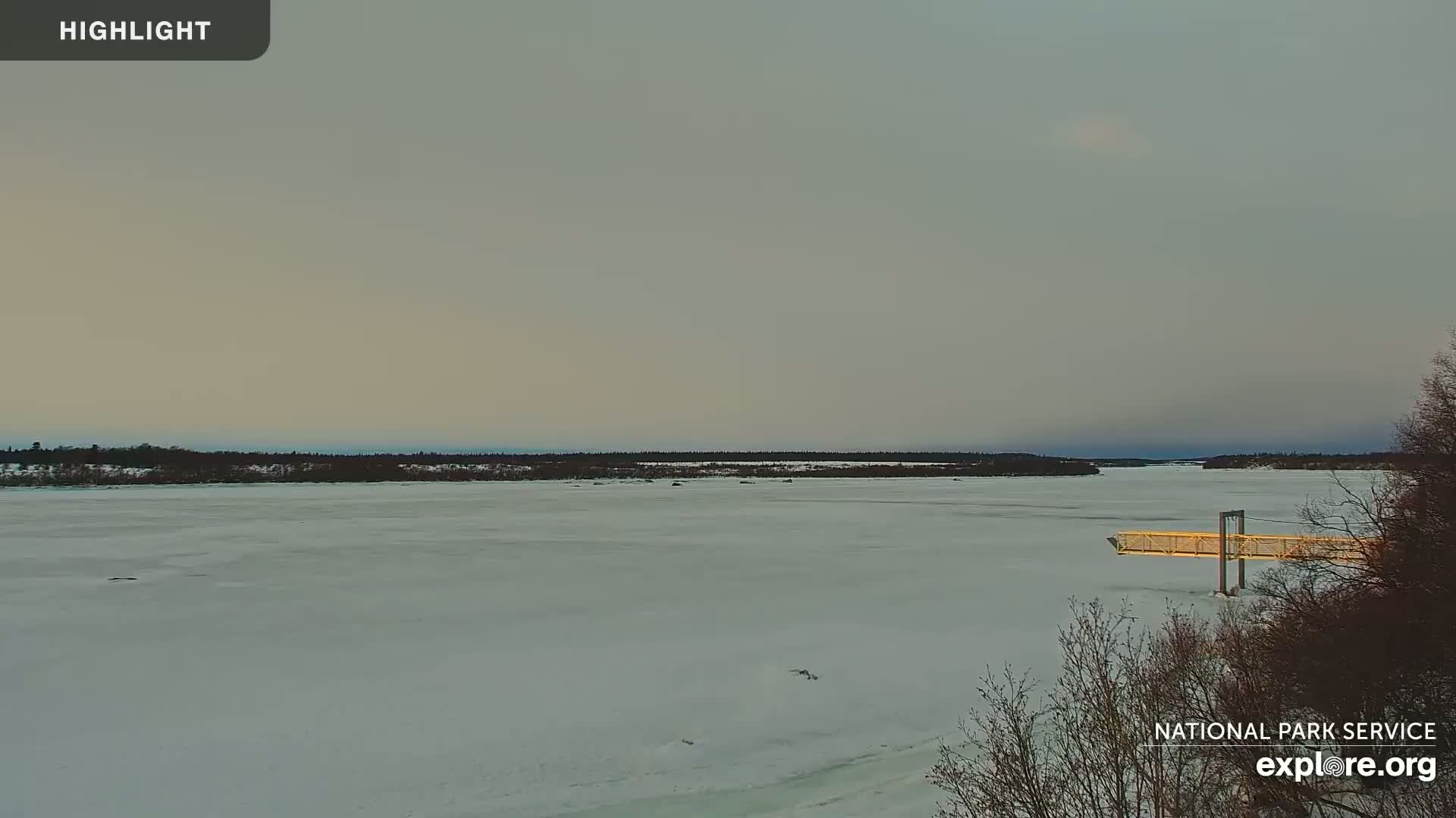 A frozen river stretches to a dark tree line under a pale, overcast sky.
