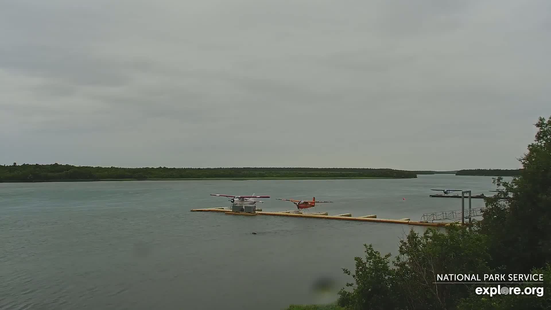 South Naknek, Naknek River Live Cam - Naknek, Bristol Bay Borough, Alaska, USA