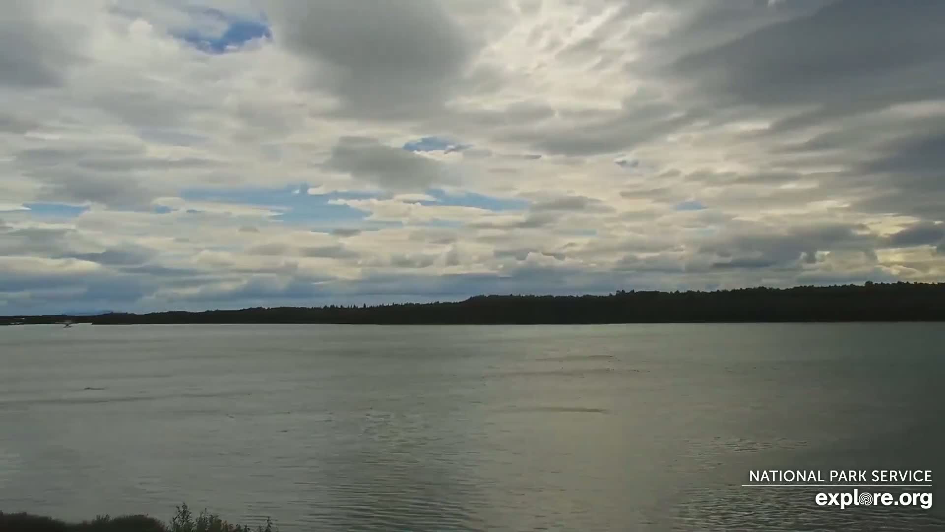 South Naknek, Naknek River Live Cam - Naknek, Bristol Bay Borough, Alaska, USA