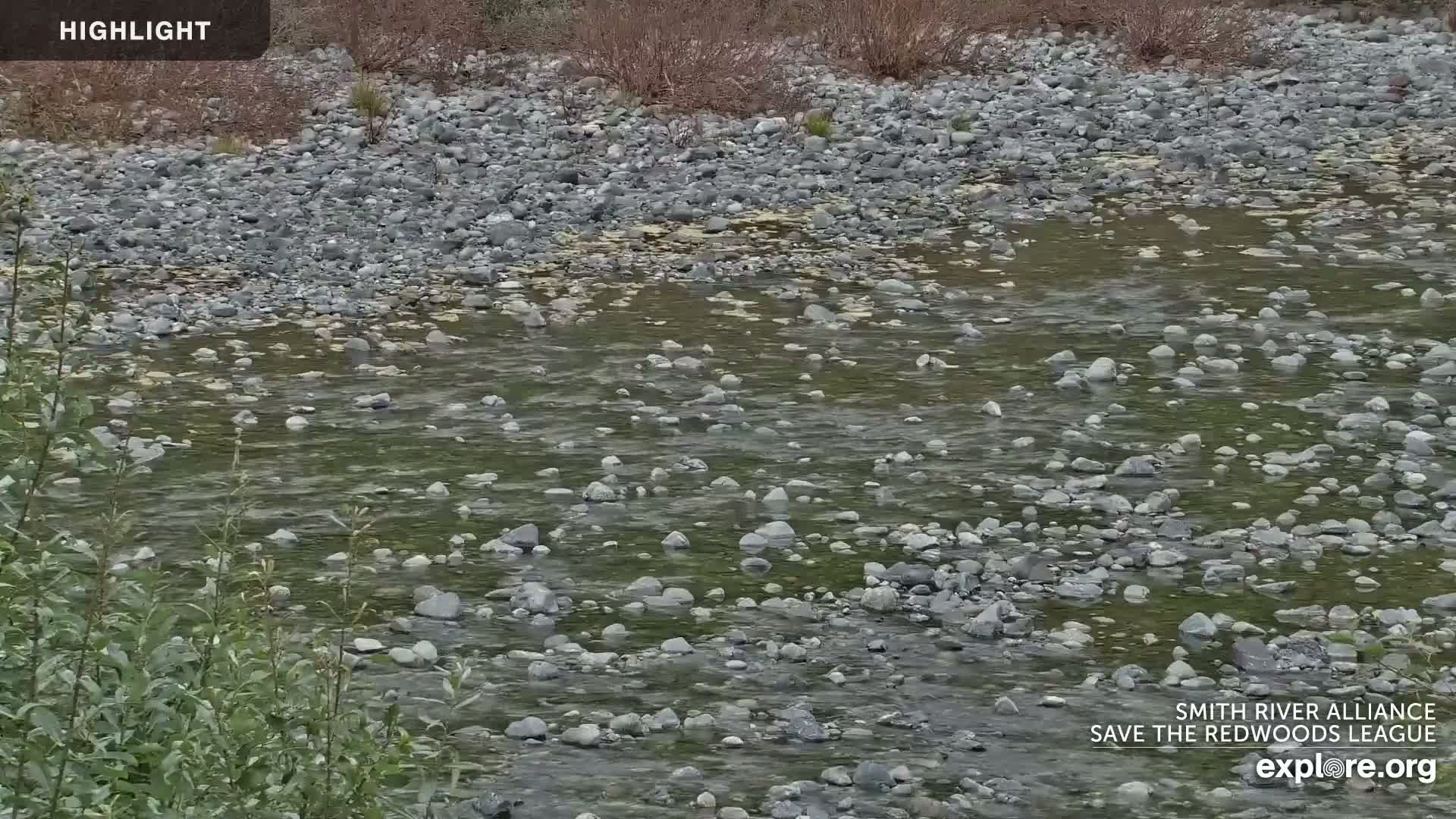 South Naknek, Naknek River Live Cam - Naknek, Bristol Bay Borough, Alaska, USA