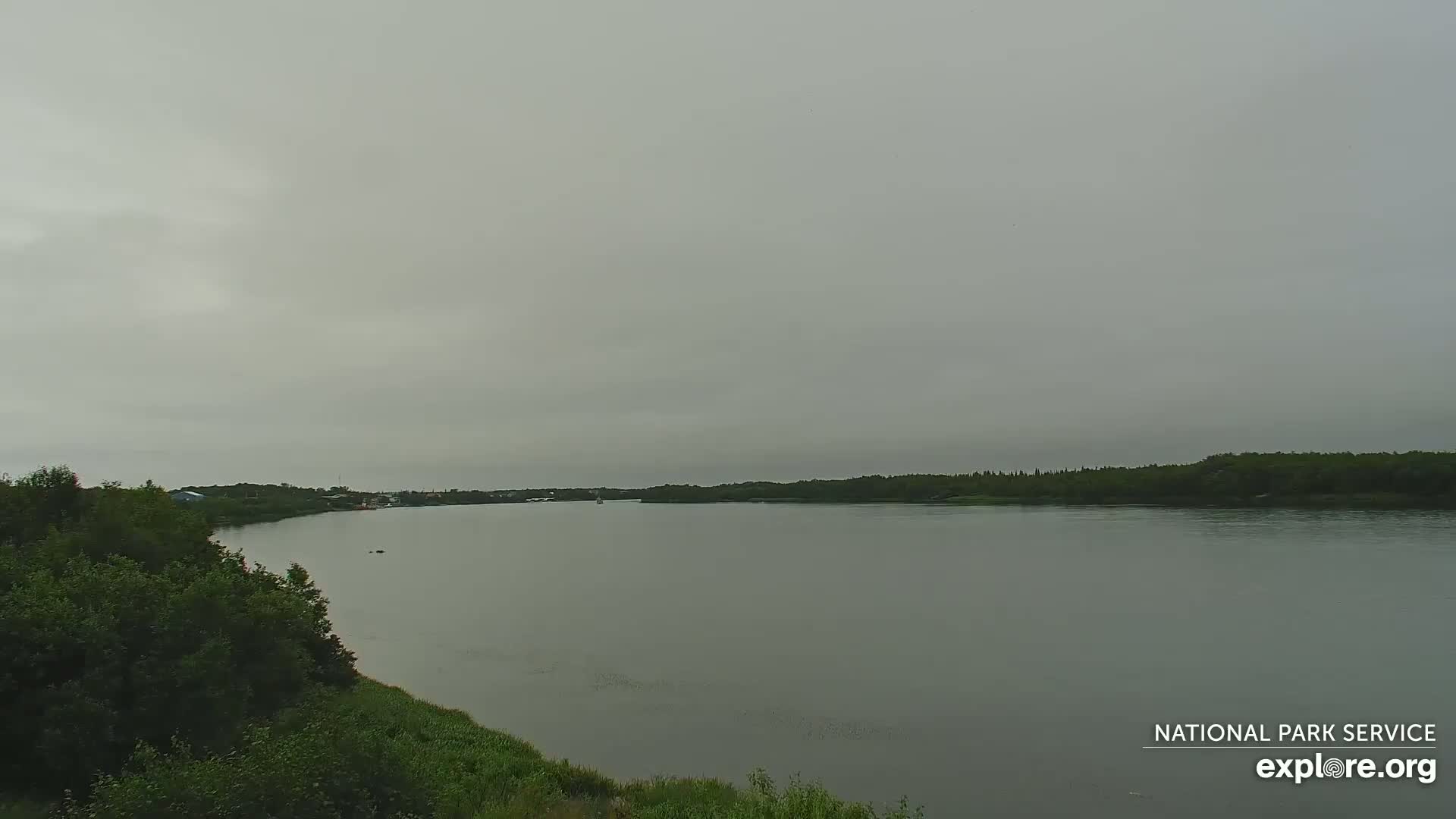 South Naknek, Naknek River Live Cam - Naknek, Bristol Bay Borough, Alaska, USA