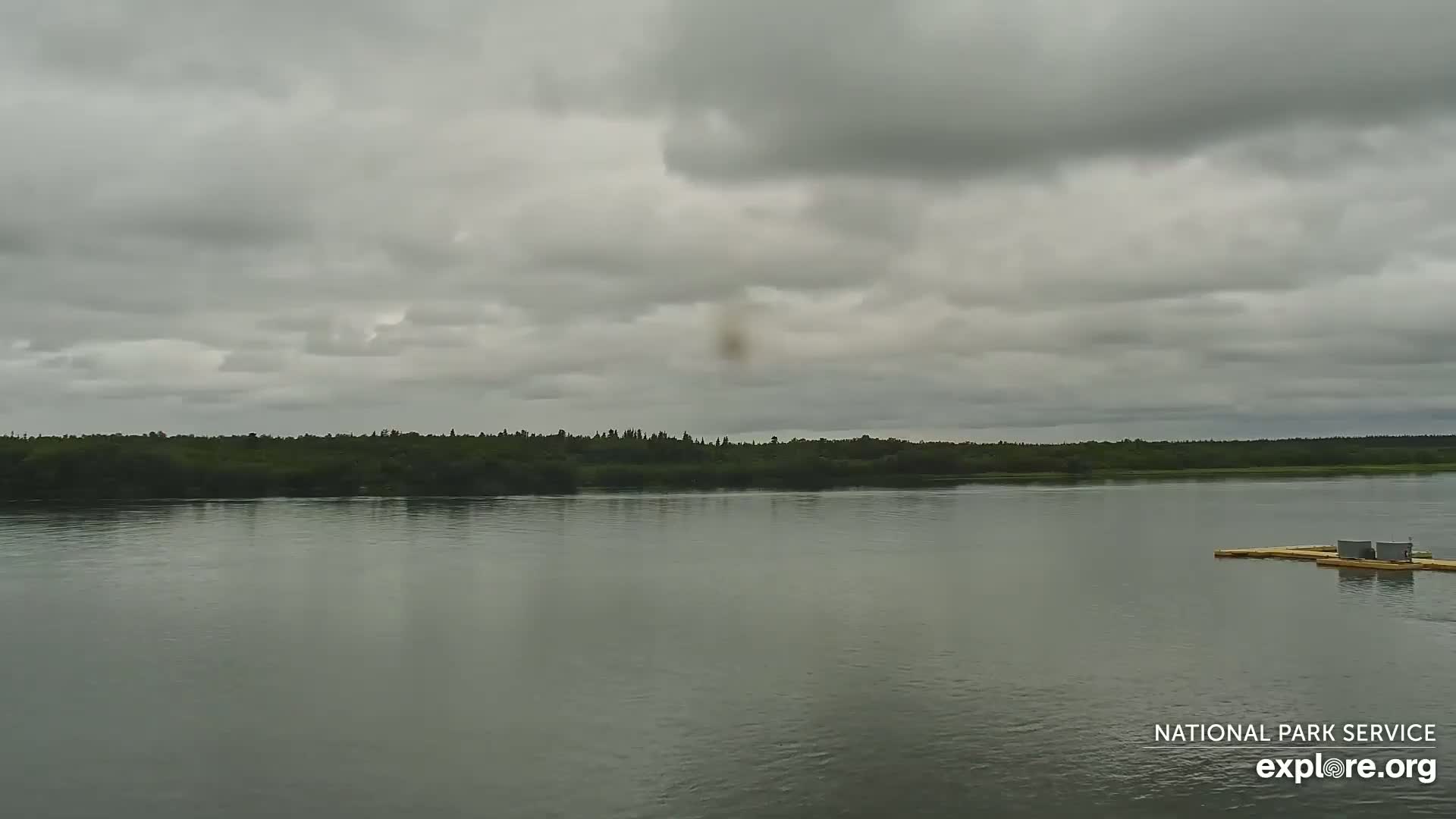South Naknek, Naknek River Live Cam - Naknek, Bristol Bay Borough, Alaska, USA