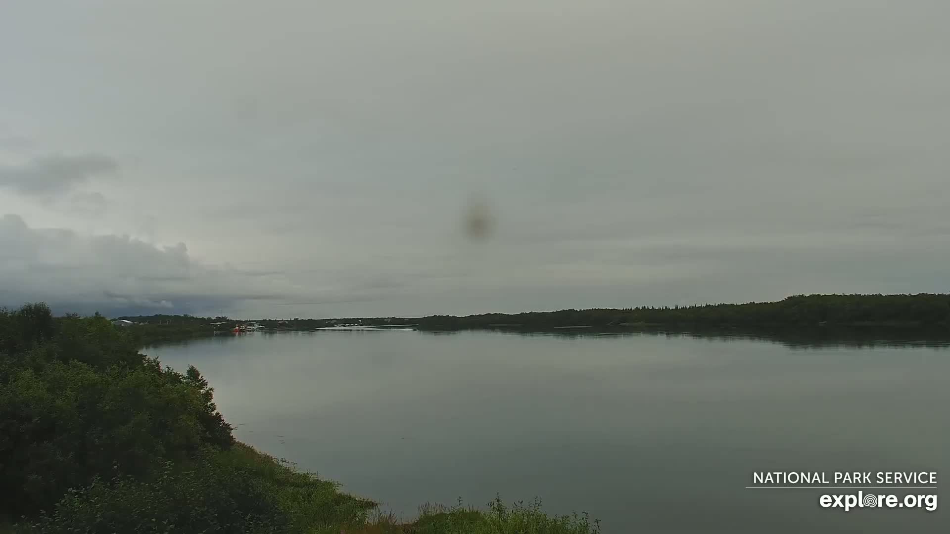 South Naknek, Naknek River Live Cam - Naknek, Bristol Bay Borough, Alaska, USA