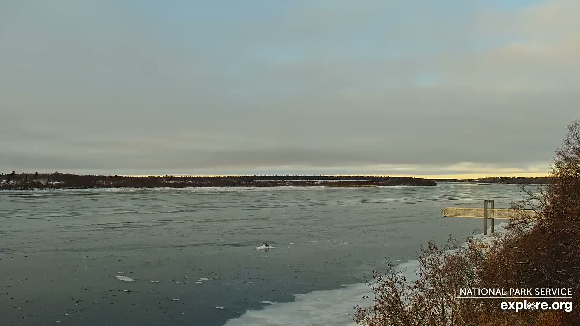 South Naknek, Naknek River Live Cam - Naknek, Bristol Bay Borough, Alaska, USA