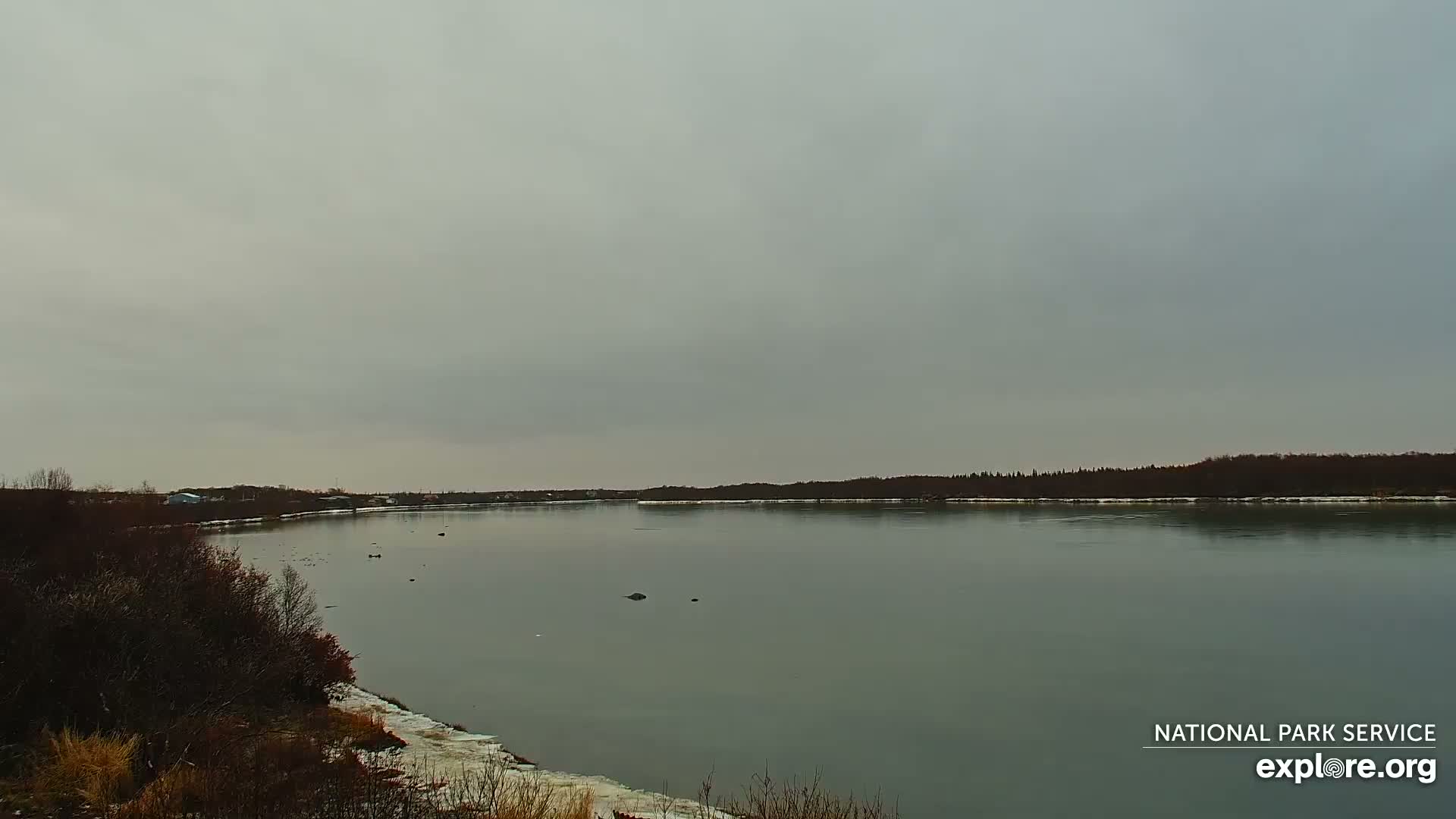 South Naknek, Naknek River Live Cam - Naknek, Bristol Bay Borough, Alaska, USA