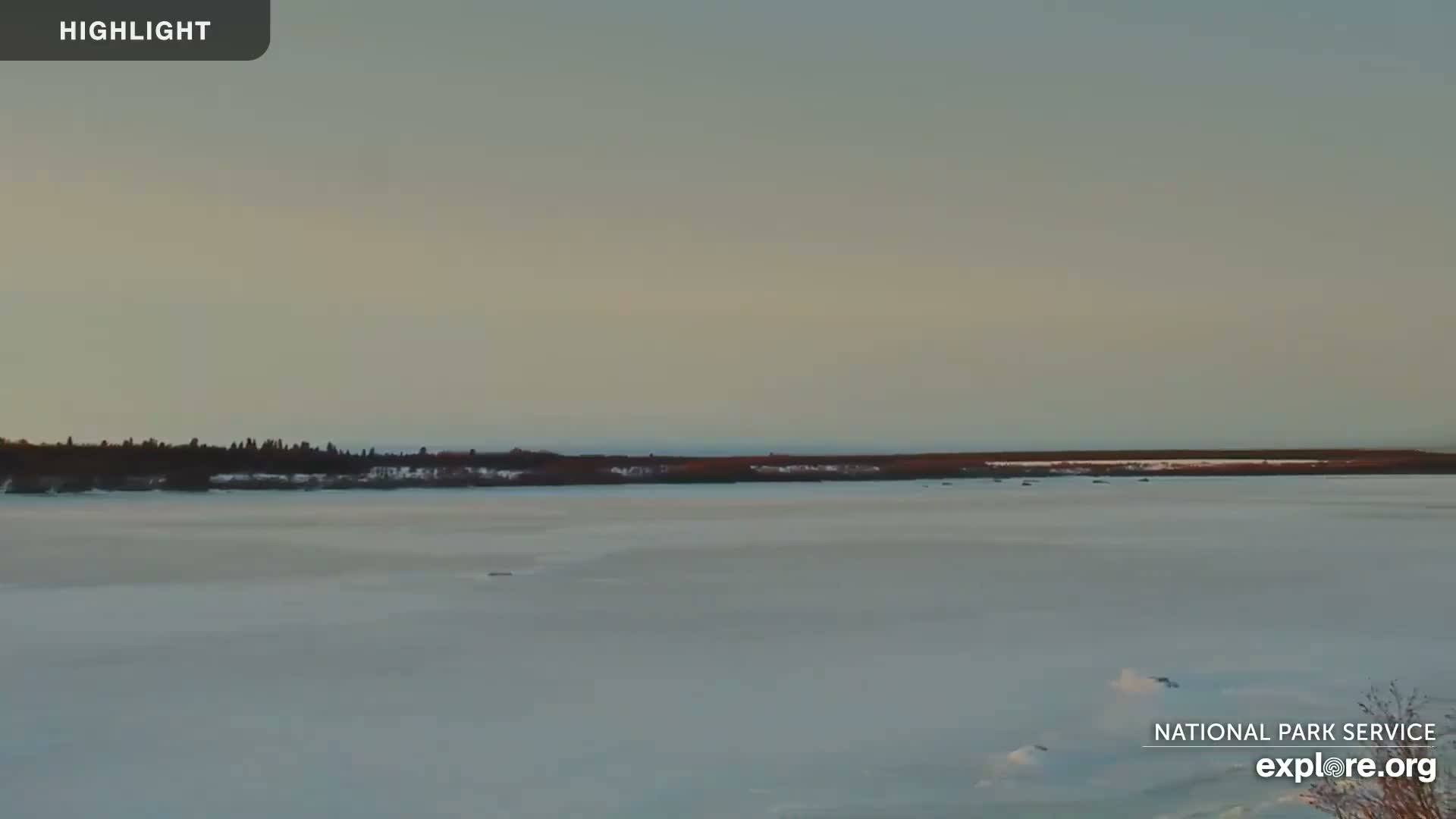A wide, ice-covered body of water extends to a distant low-lying shoreline featuring dark evergreen trees and reddish-brown vegetation under a muted, pale sky, suggesting cold and hazy conditions.