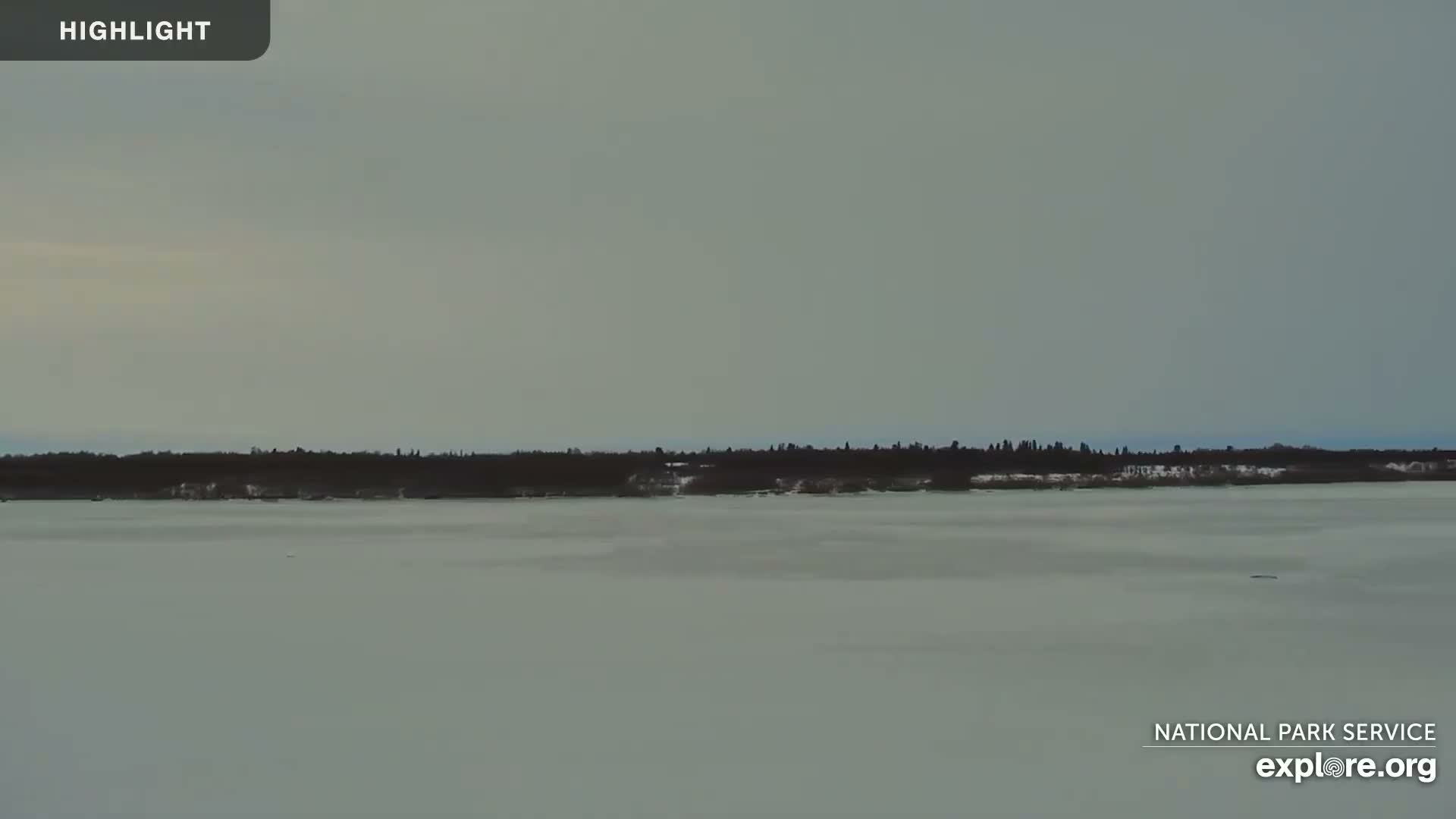 South Naknek, Naknek River Live Cam - Naknek, Bristol Bay Borough, Alaska, USA