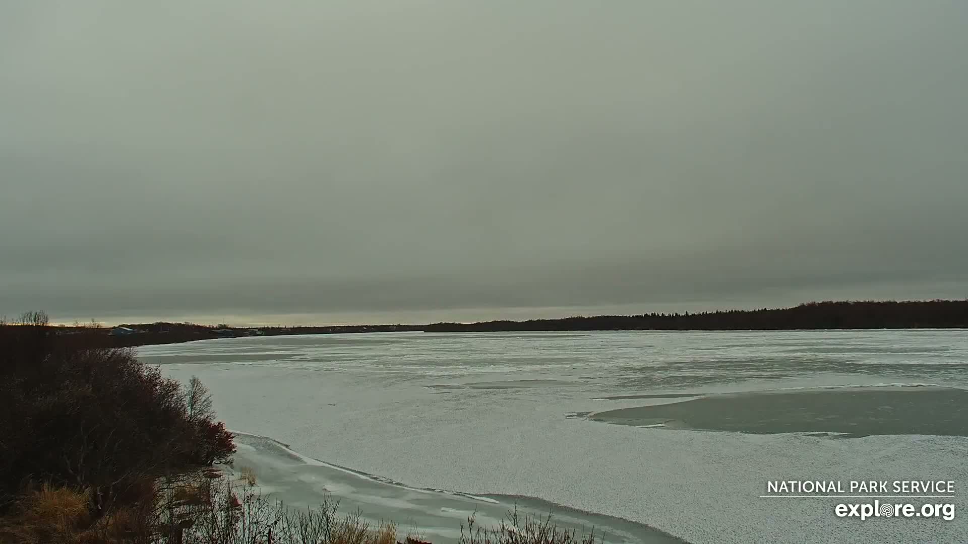 South Naknek, Naknek River Live Cam - Naknek, Bristol Bay Borough, Alaska, USA