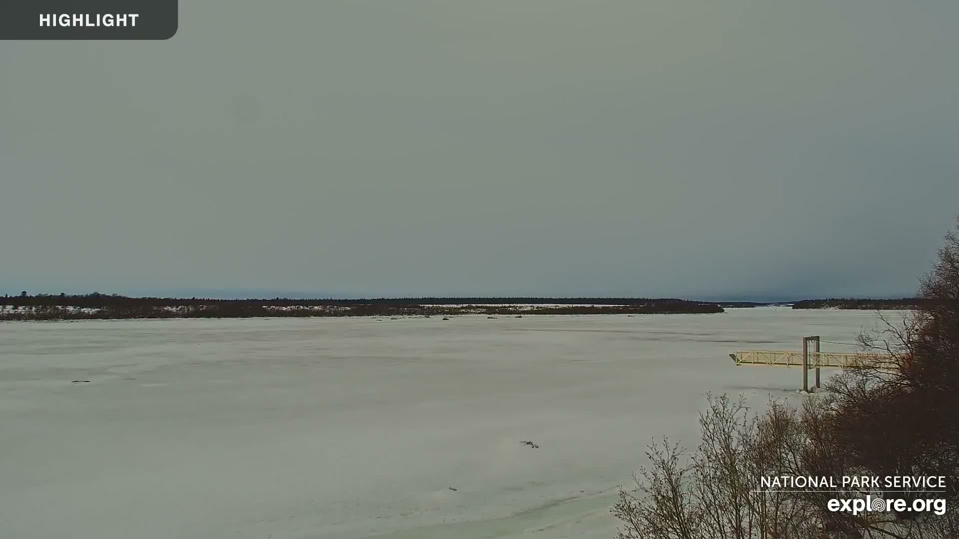 South Naknek, Naknek River Live Cam - Naknek, Bristol Bay Borough, Alaska, USA