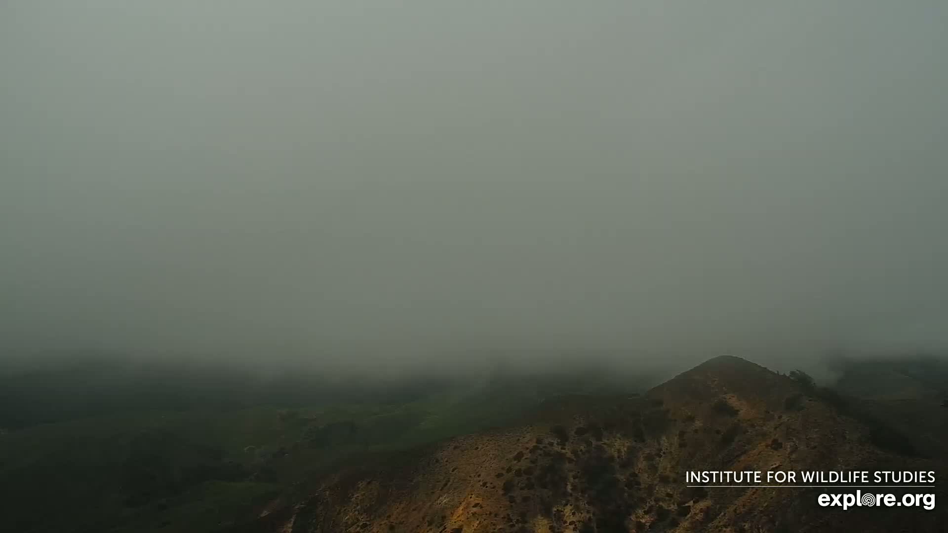 A foggy landscape shows a brown hilltop overlooking a valley shrouded in mist.