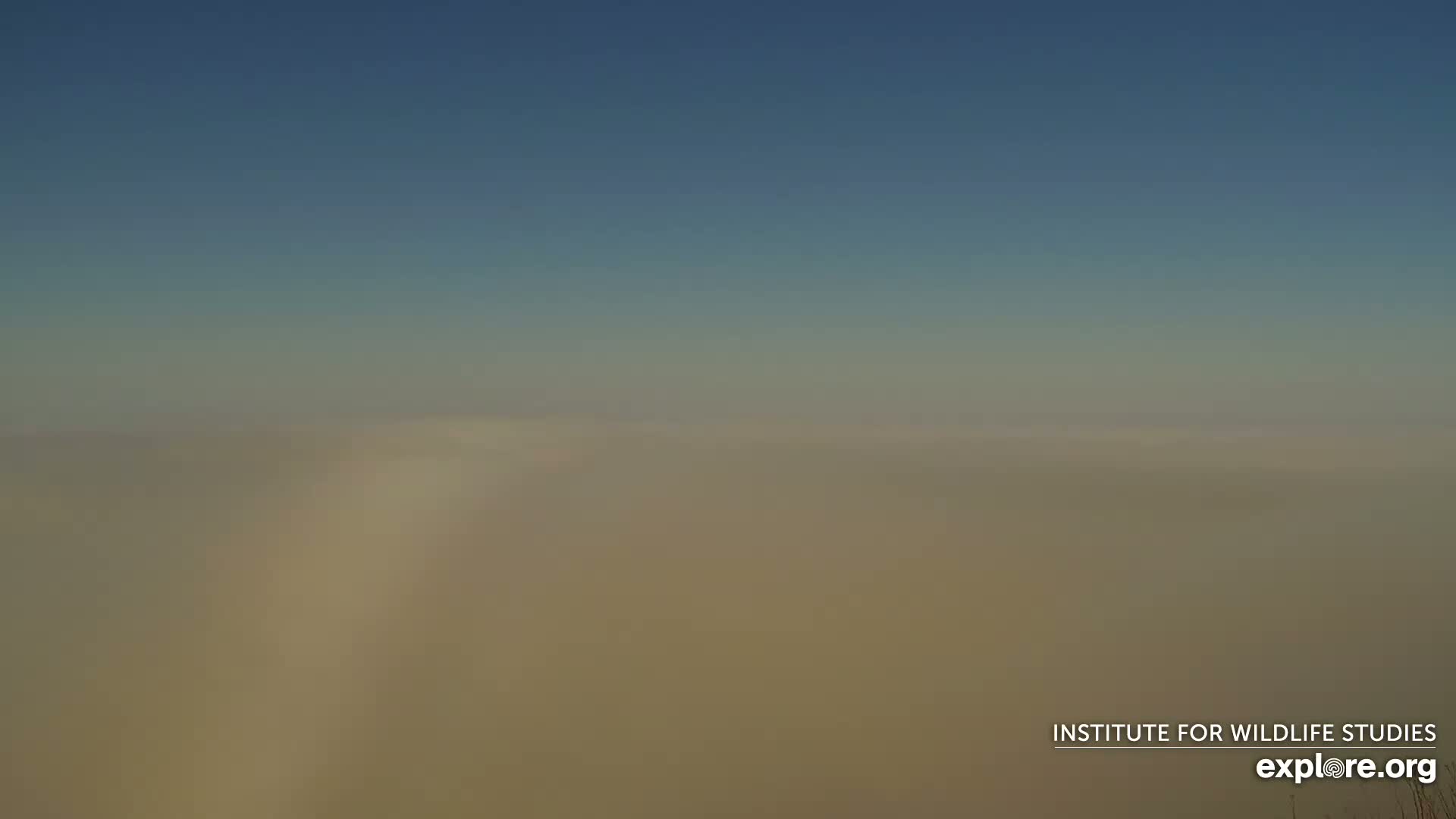 A hazy, dusty landscape stretches to the horizon under a clear, light-blue sky.