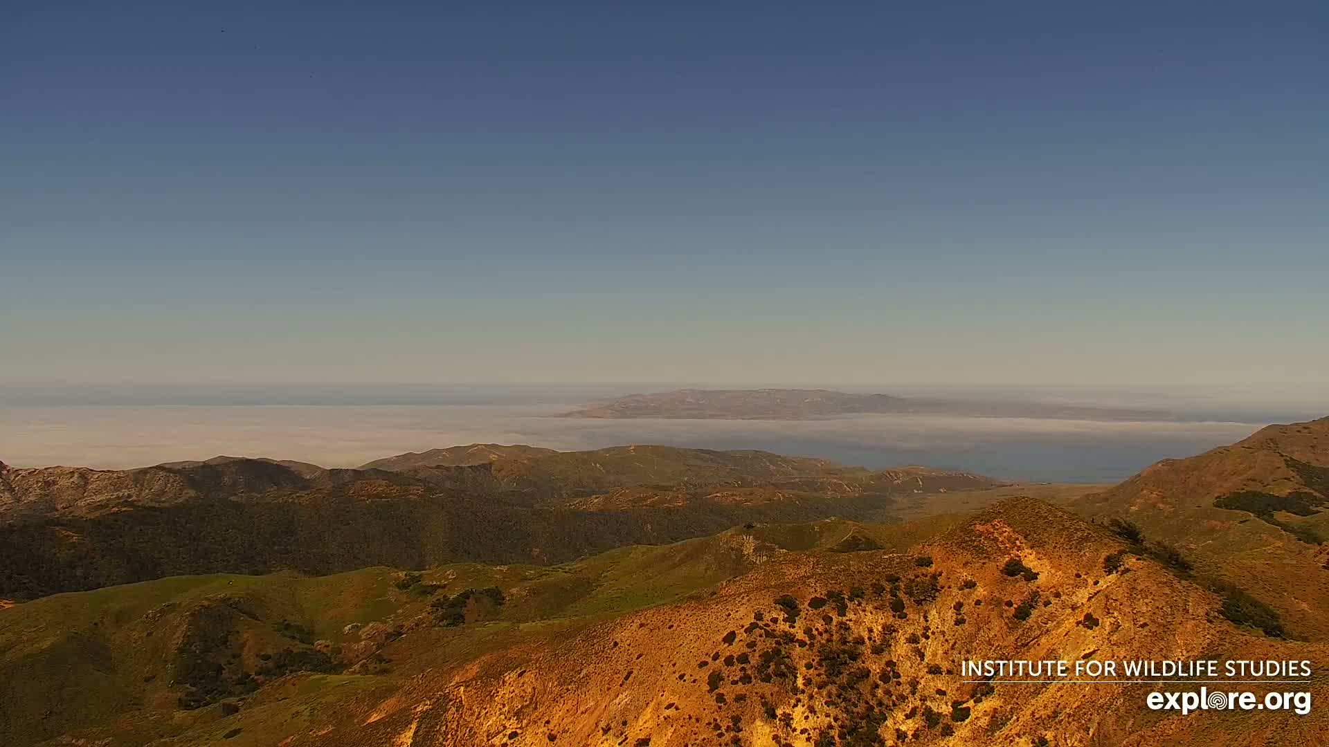 A clear, sunny day reveals rolling brown and green hills overlooking a distant island shrouded in low-lying fog over a calm ocean.