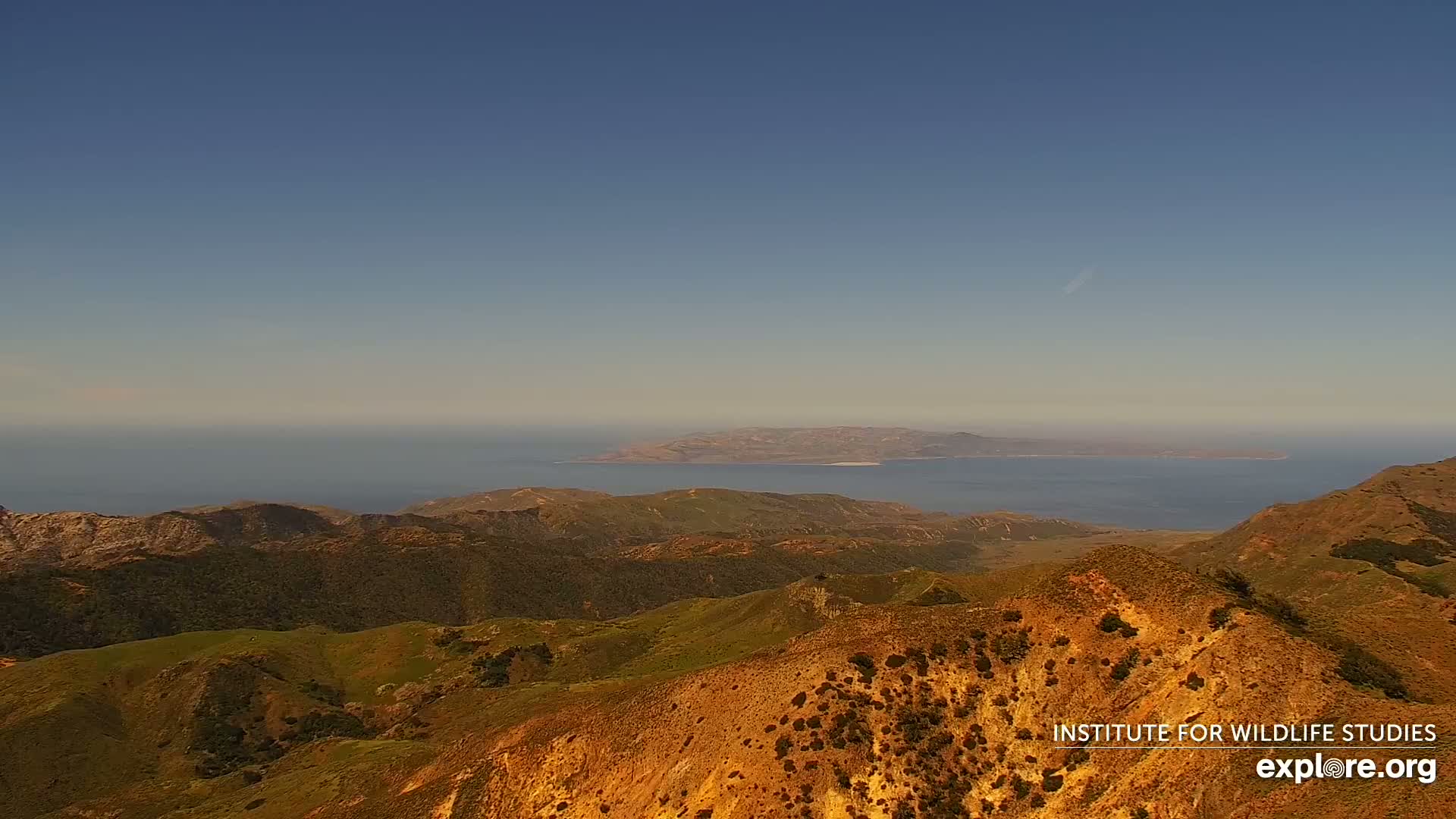 An aerial view shows a vast expanse of ocean and rolling, golden-brown hills under a clear blue sky.