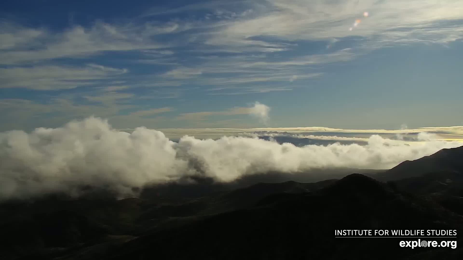 A mountain range is partially obscured by a layer of low-lying clouds under a mostly clear, bright blue sky.