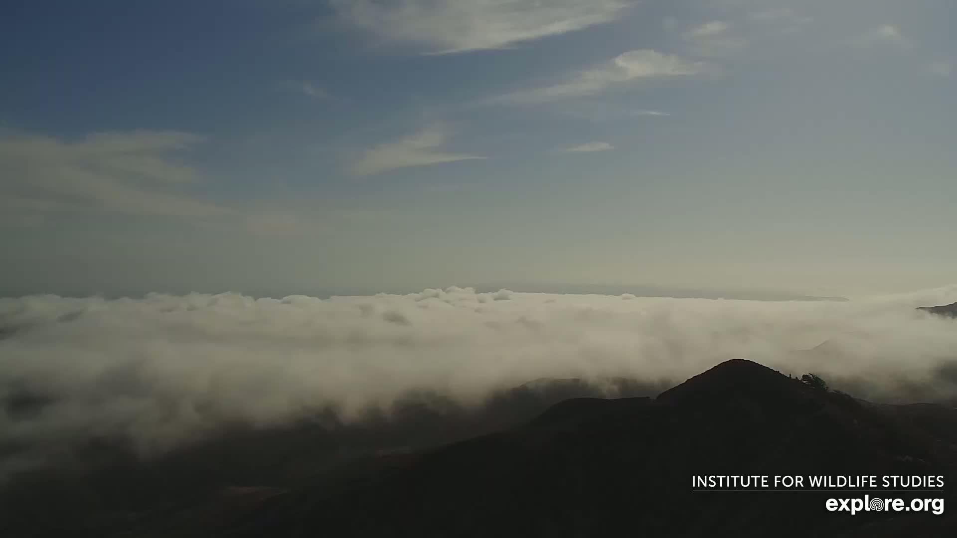 Santa Paula, Channel Islands & Pasific View from Santa Paula Peak & Last Change Trail Live Cam - Santa Paula, Ventura, California, USA