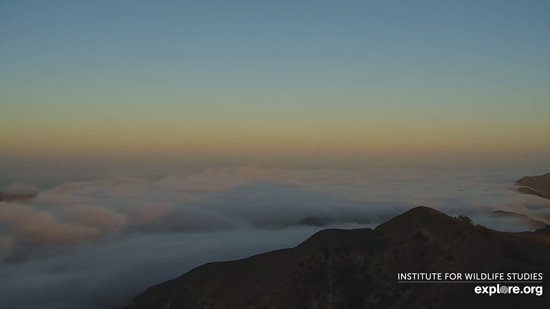 A mountaintop view at sunset shows a sea of clouds stretching to the horizon under a pale orange and blue sky.