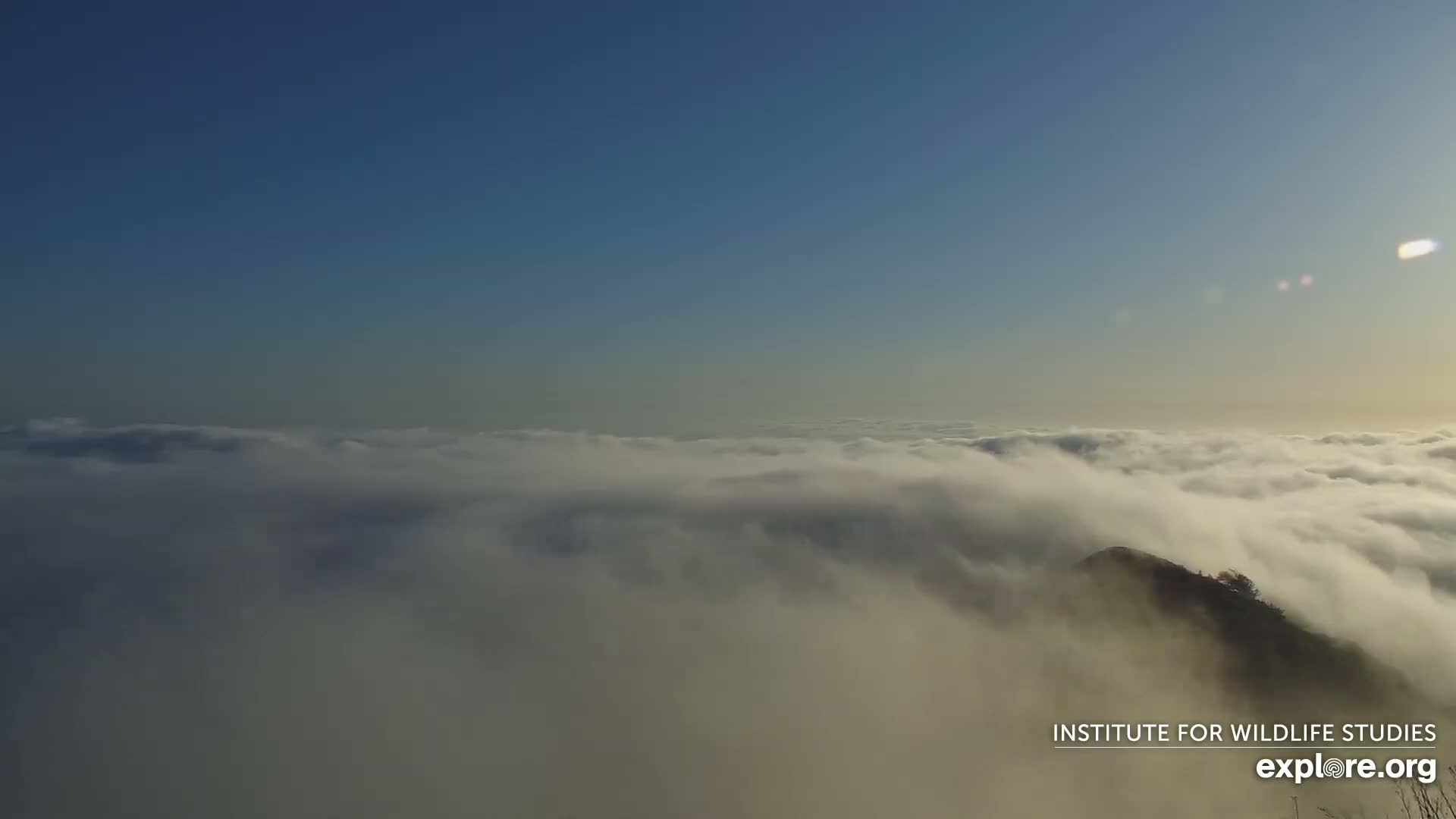 Santa Paula, Channel Islands & Pasific View from Santa Paula Peak & Last Change Trail Live Cam - Santa Paula, Ventura, California, USA