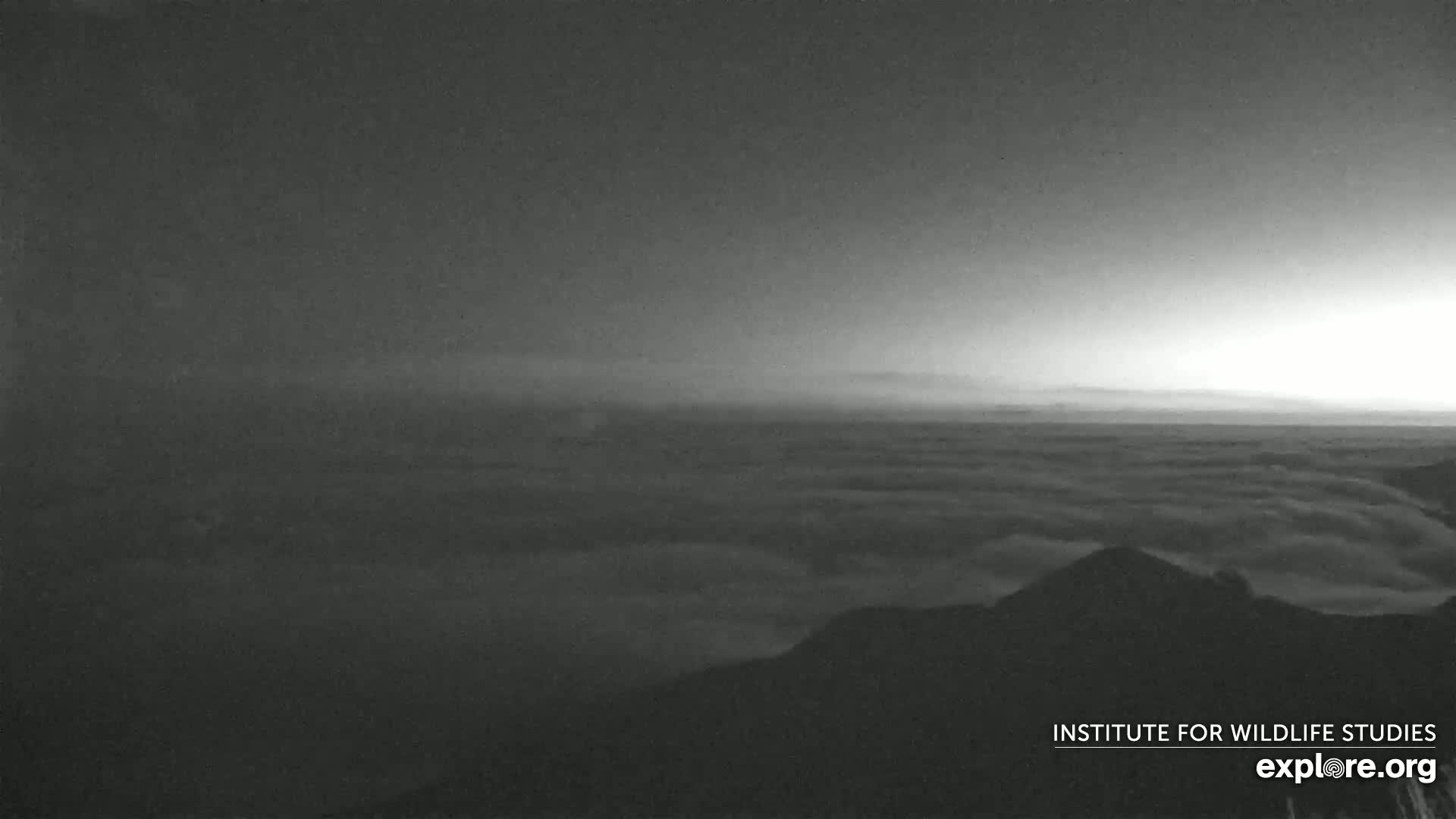 A grayscale image shows a sunrise over a vast expanse of clouds, with dark mountain silhouettes in the foreground.