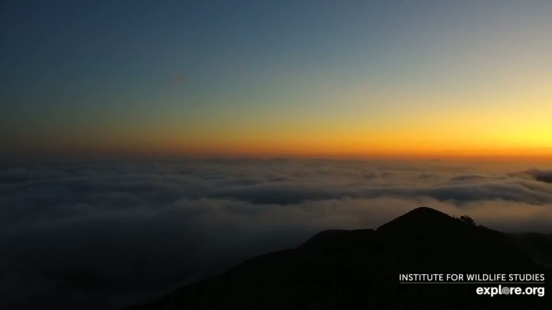A silhouetted mountaintop overlooks a vast expanse of clouds illuminated by a vibrant sunset.