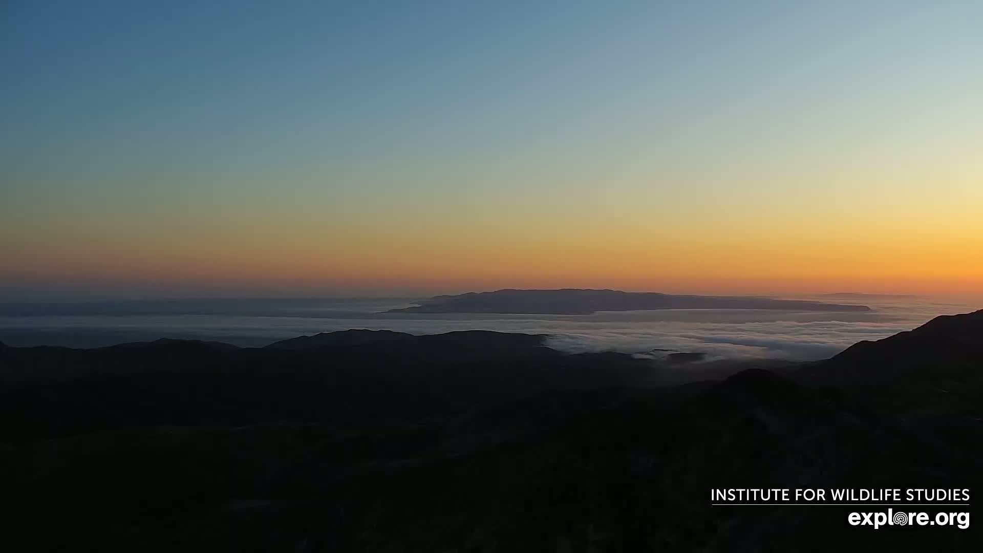 A layer of fog covers a valley separating dark mountain silhouettes at sunset.
