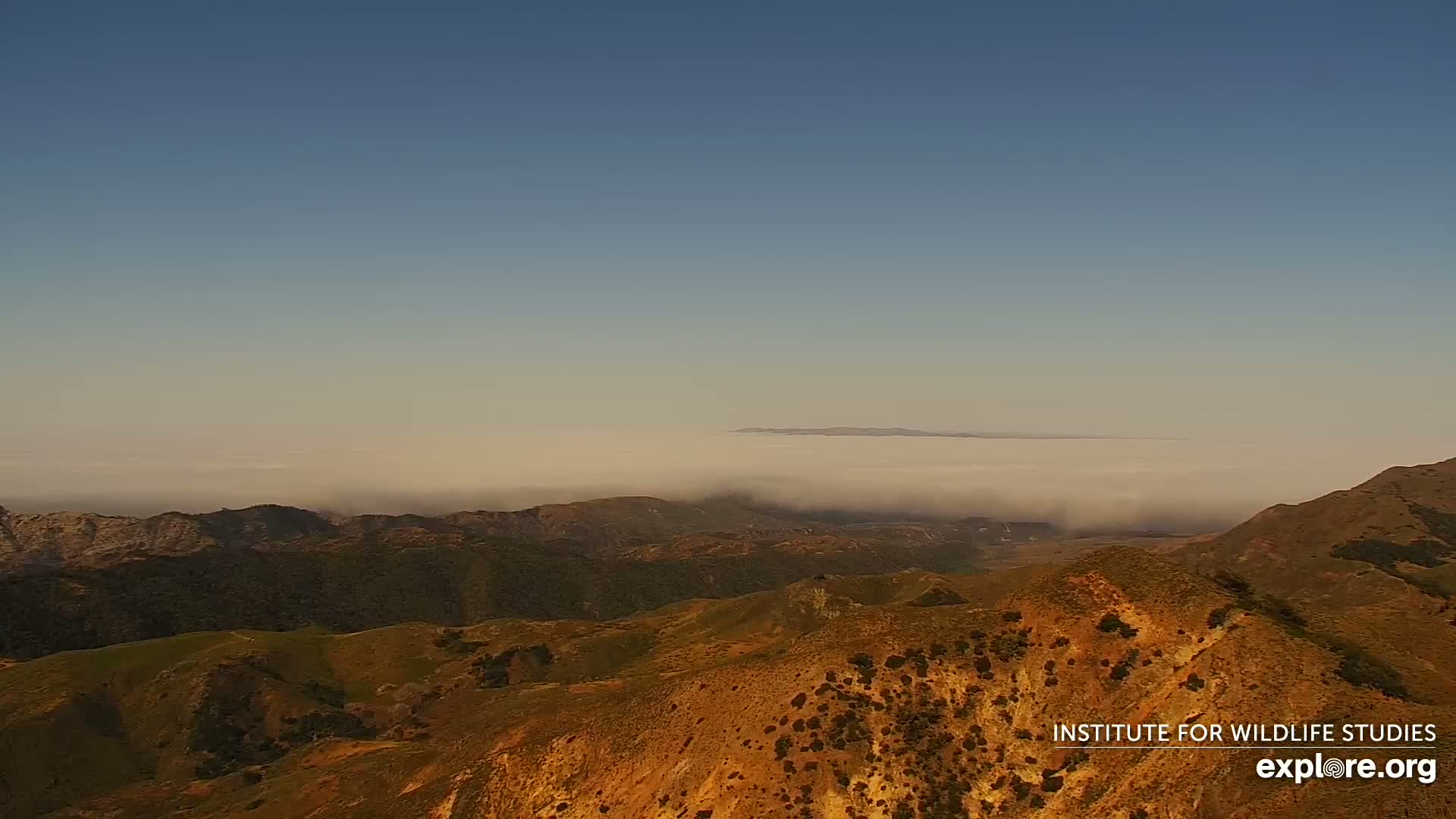 A high-angle view shows rolling, tan-colored hills partially covered with shrubs, with a layer of fog or low clouds in the valley below and a distant mountain range visible beyond.