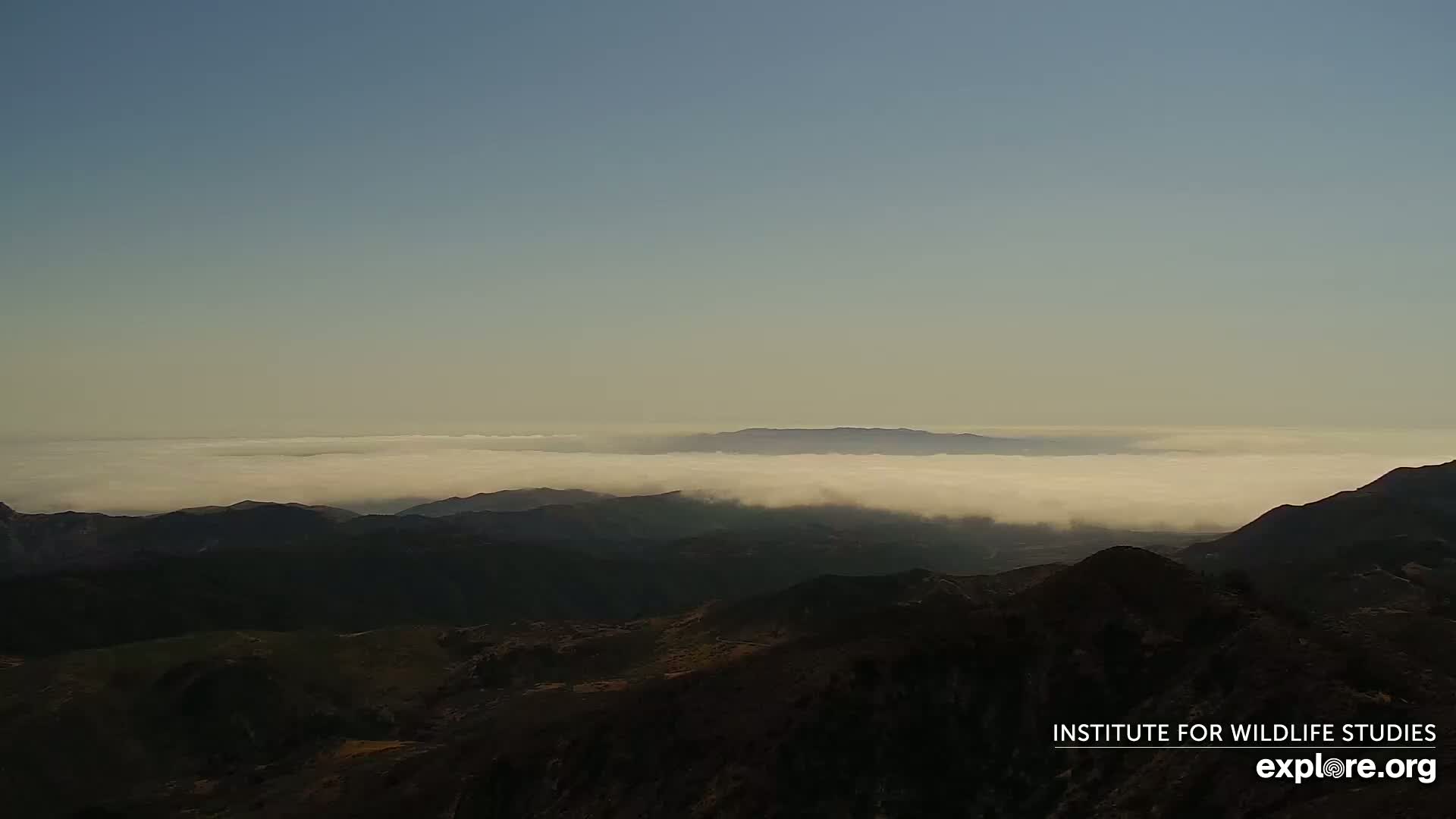 A mountainous landscape is shrouded in fog under a clear sky, with distant hills visible above the cloud layer.