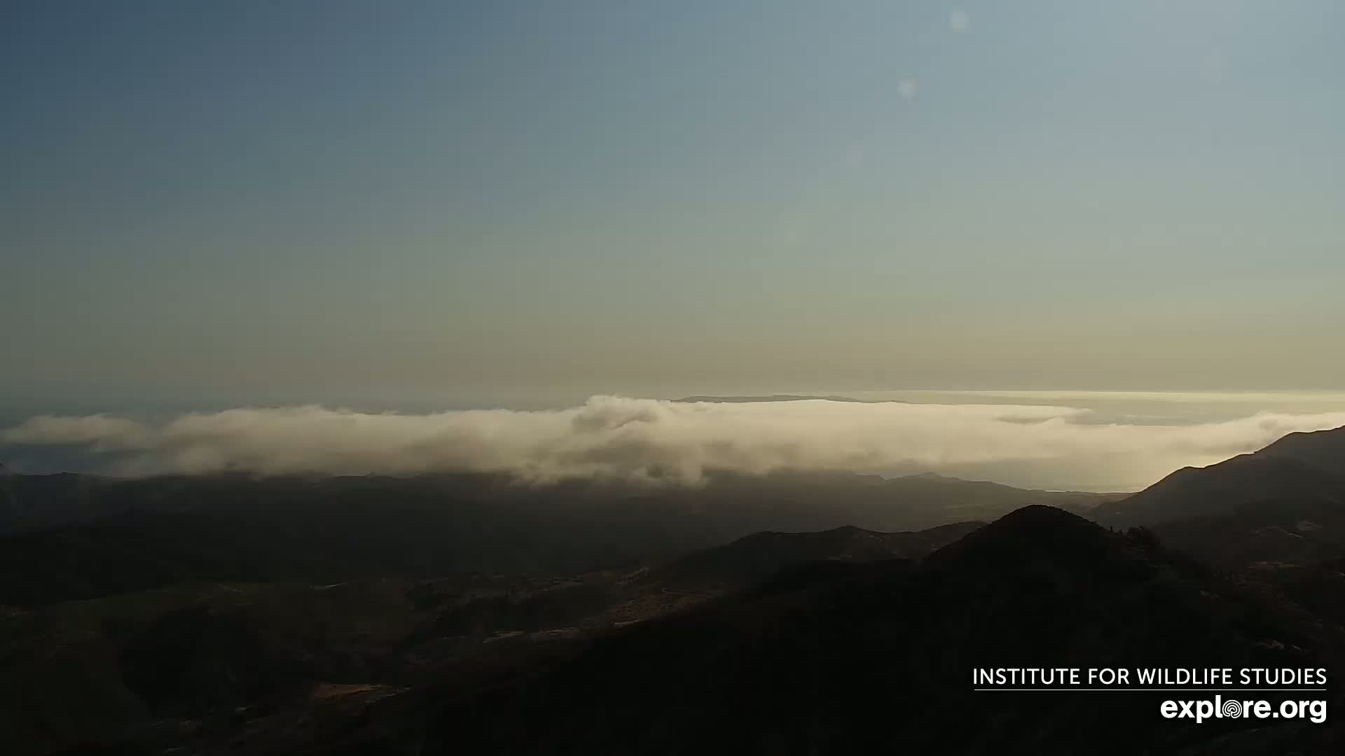 A layer of low clouds covers a valley between dark, mountainous hills under a clear sky.