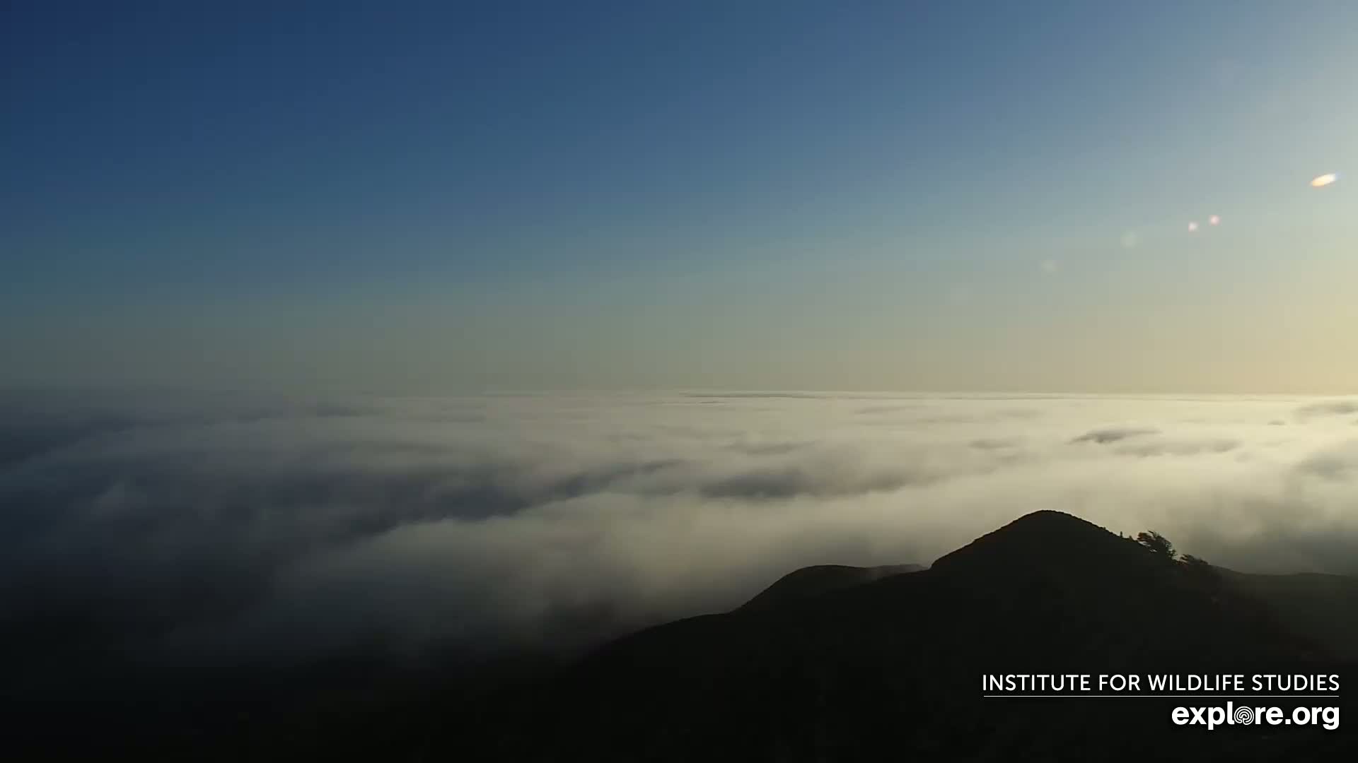 A dark mountaintop overlooks a vast expanse of low-lying clouds under a clear, light blue sky.
