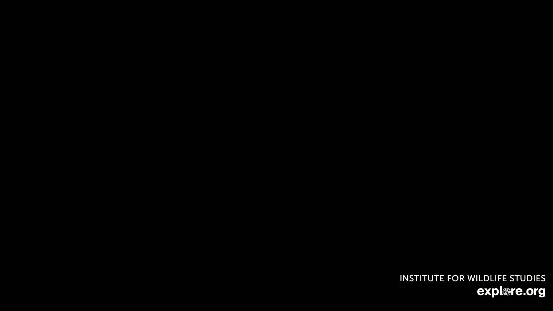 The image is completely black.