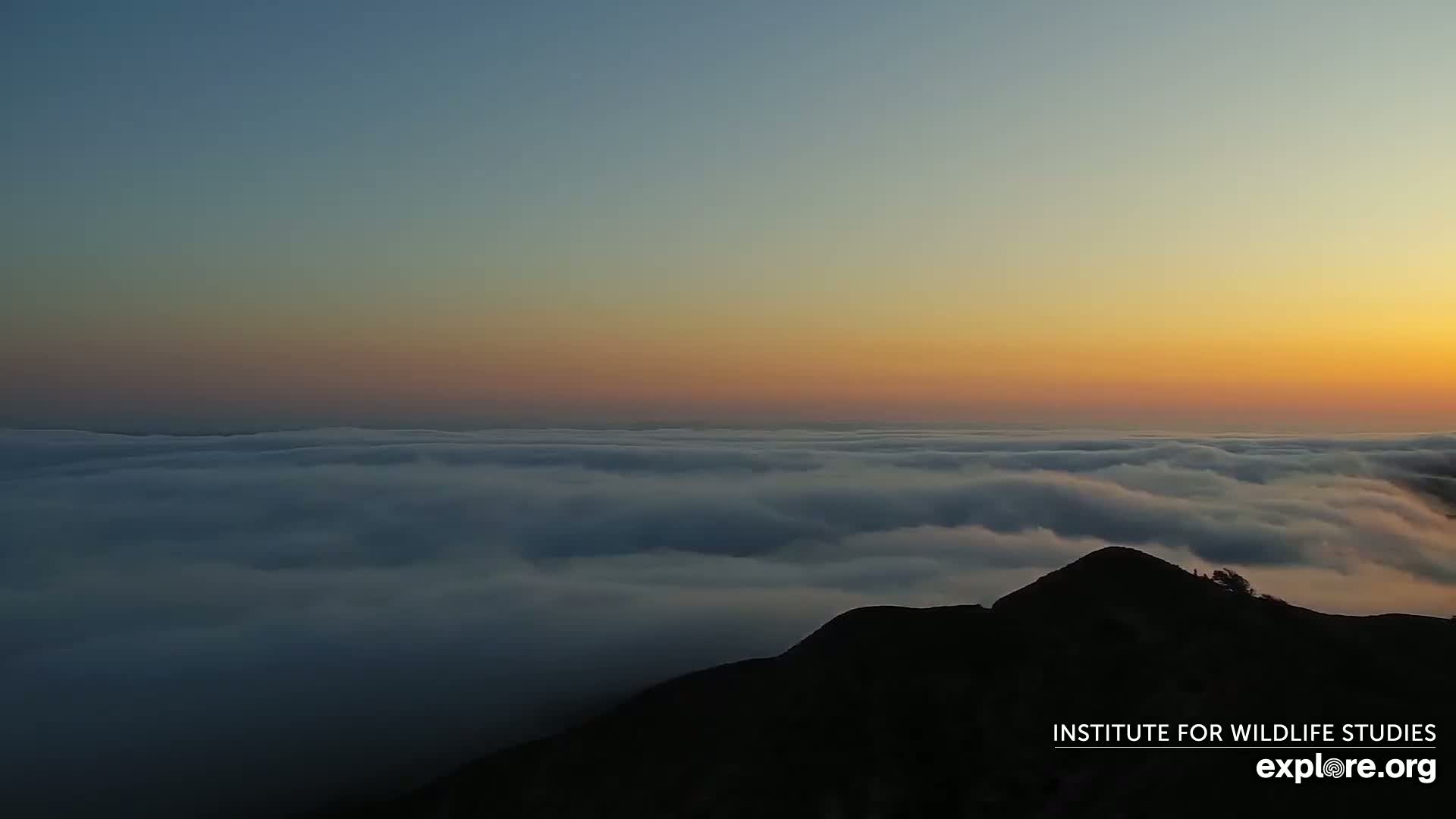 Santa Paula, Channel Islands & Pasific View from Santa Paula Peak & Last Change Trail Live Cam - Santa Paula, Ventura, California, USA