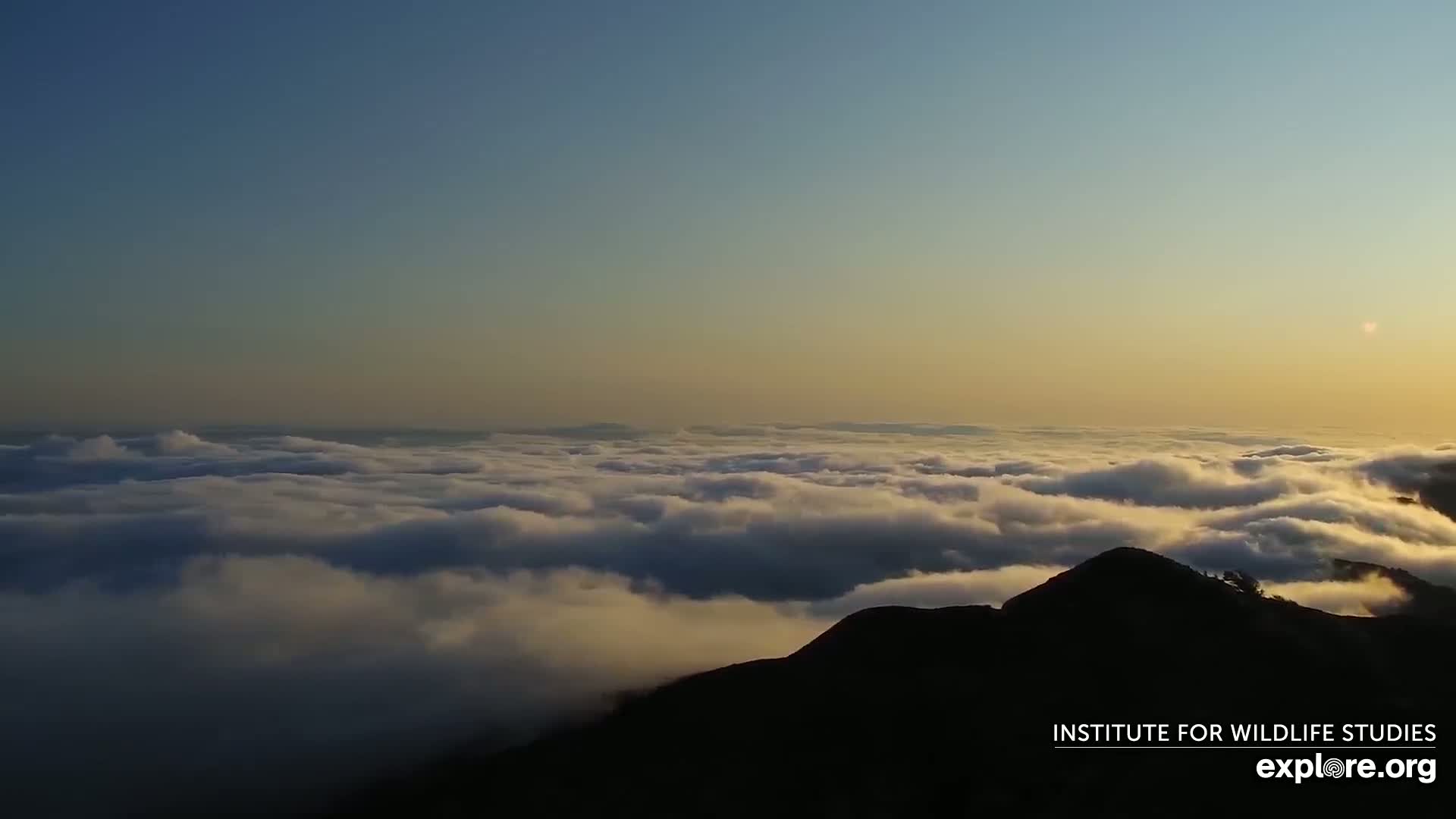 Santa Paula, Channel Islands & Pasific View from Santa Paula Peak & Last Change Trail Live Cam - Santa Paula, Ventura, California, USA
